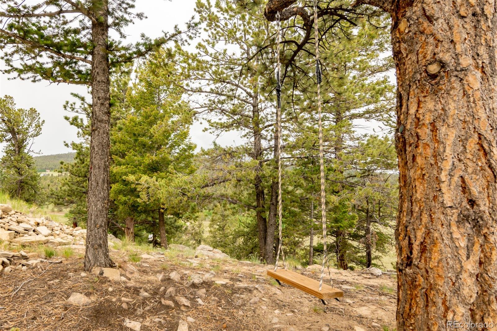 MLS Image #45 for 3900  singletree road,hartsel, Colorado