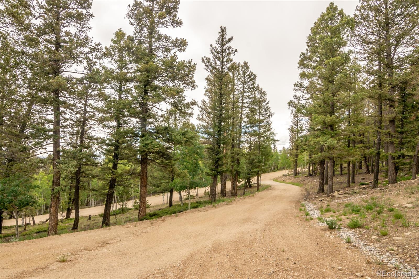 MLS Image #5 for 3900  singletree road,hartsel, Colorado