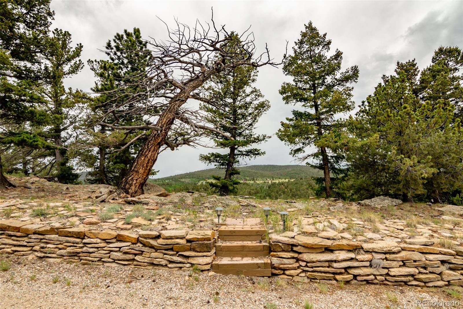 MLS Image #6 for 3900  singletree road,hartsel, Colorado