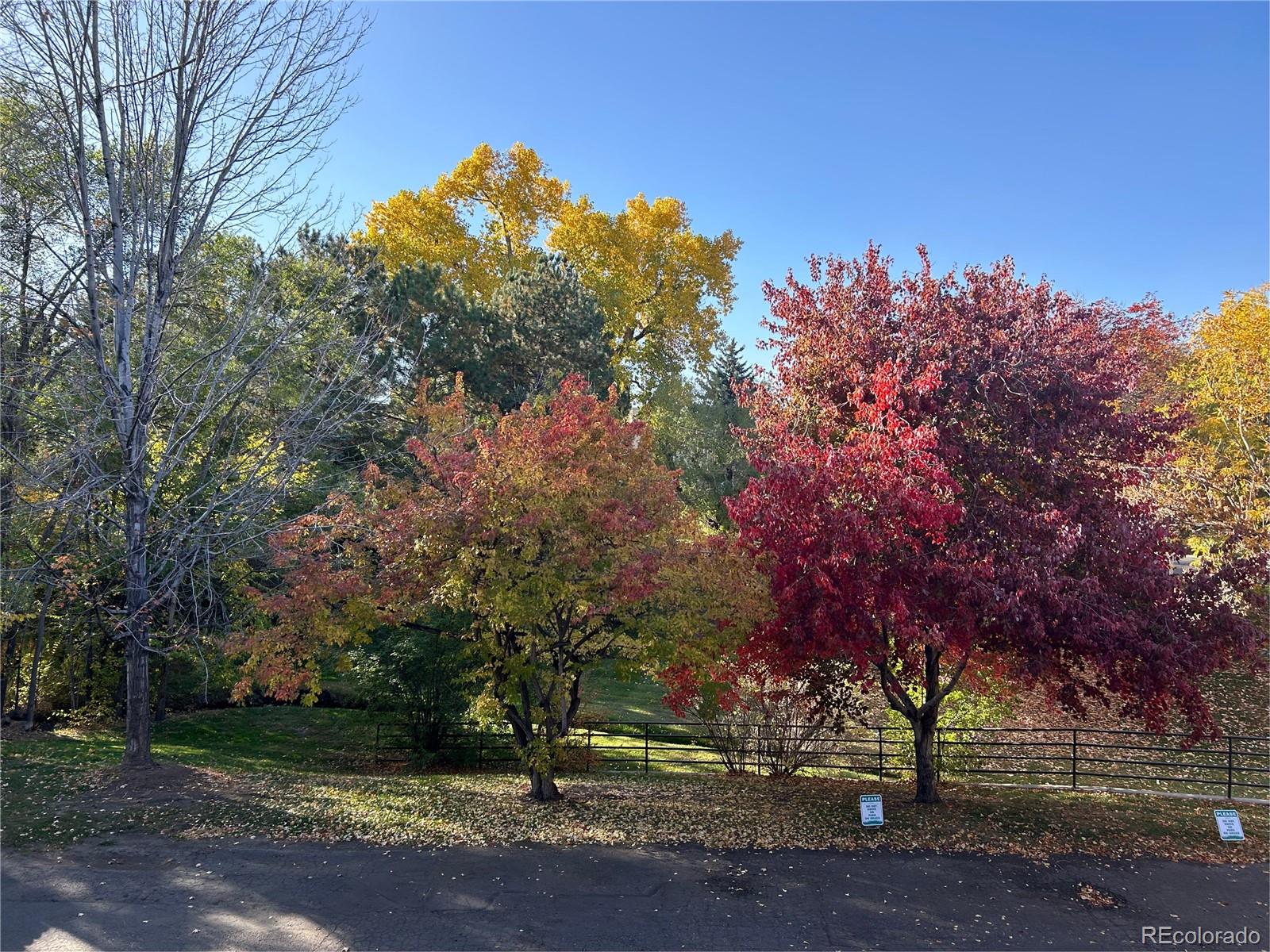 MLS Image #8 for 630  crescent lane,lakewood, Colorado