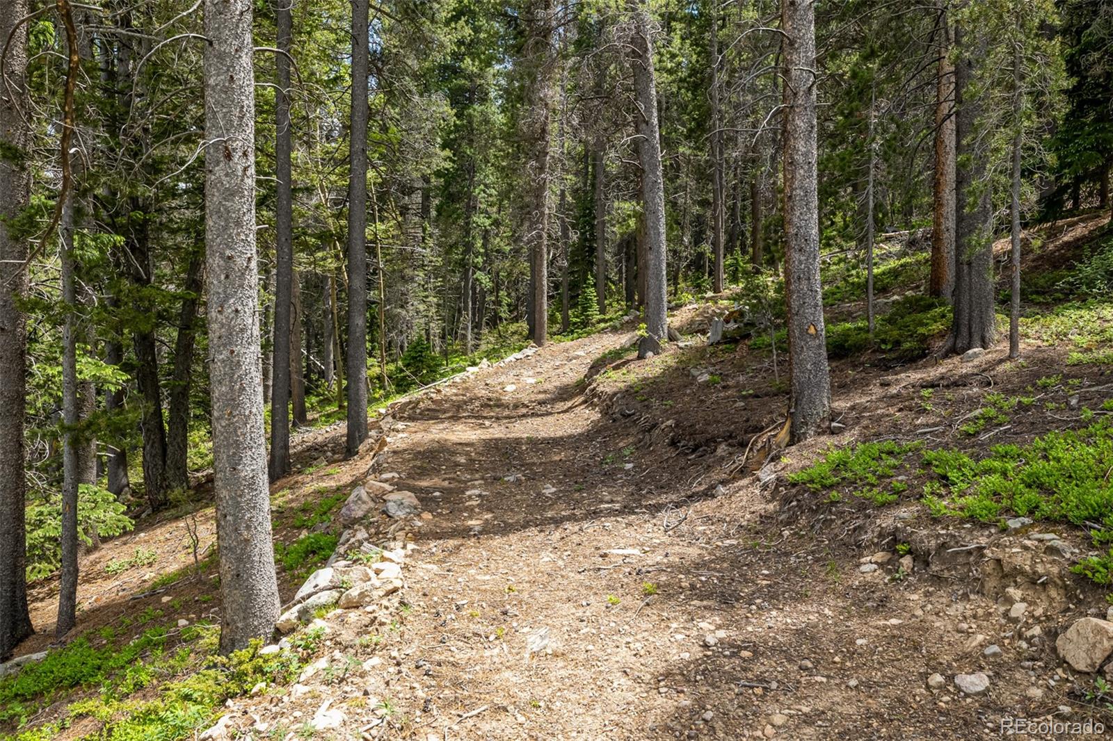 MLS Image #39 for 2655  gamble gulch road,black hawk, Colorado