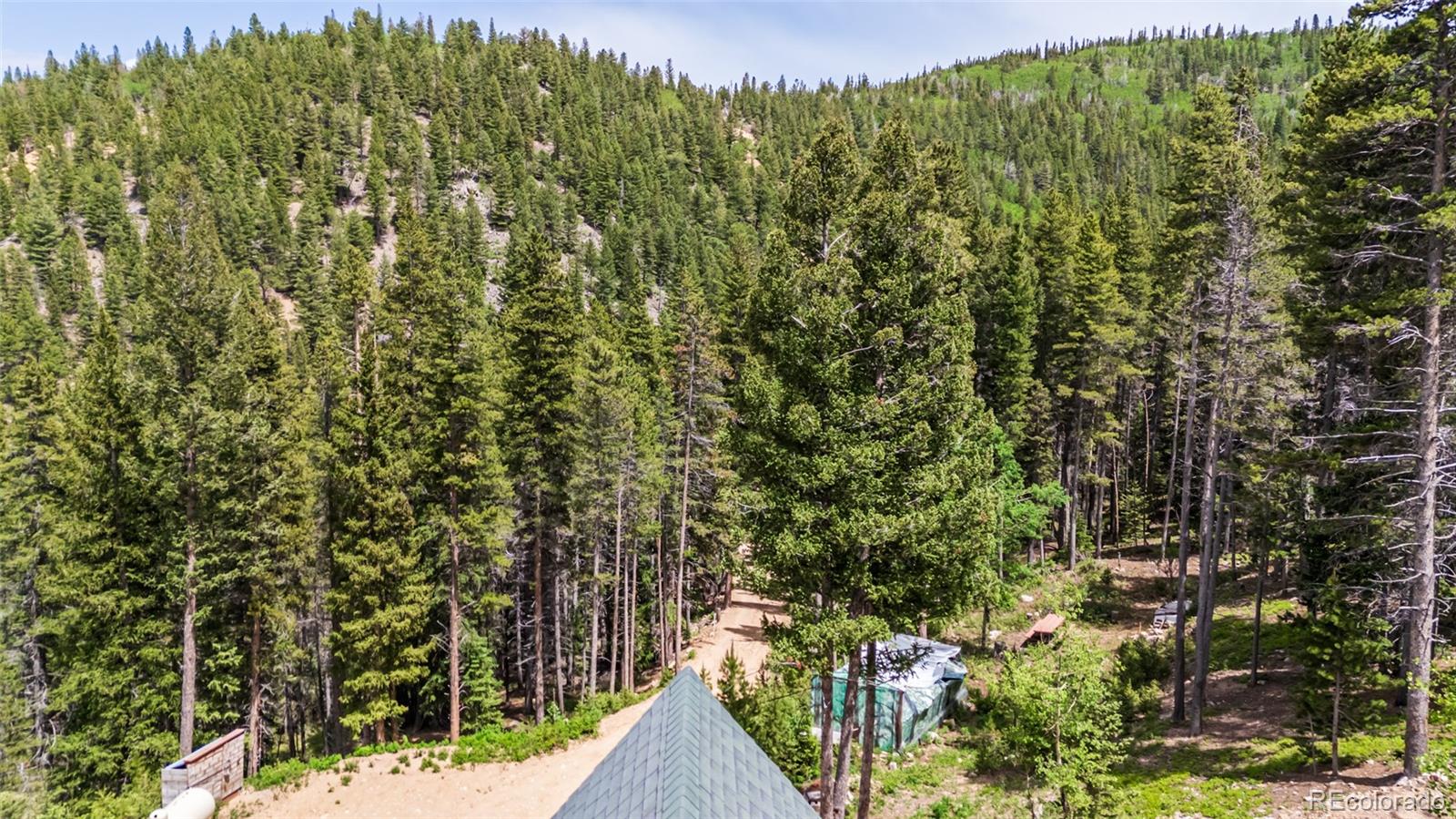 MLS Image #44 for 2655  gamble gulch road,black hawk, Colorado