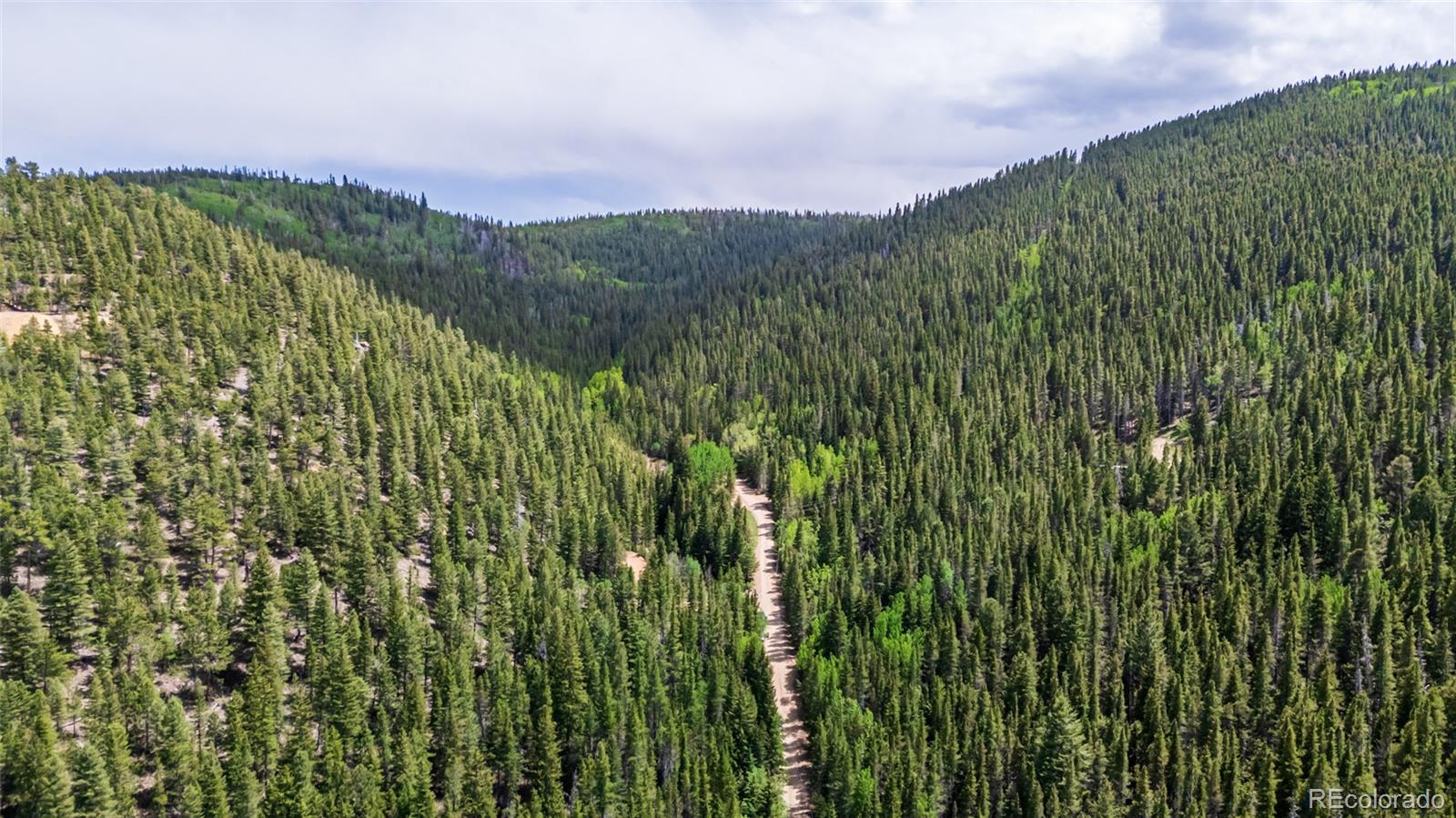 MLS Image #49 for 2655  gamble gulch road,black hawk, Colorado