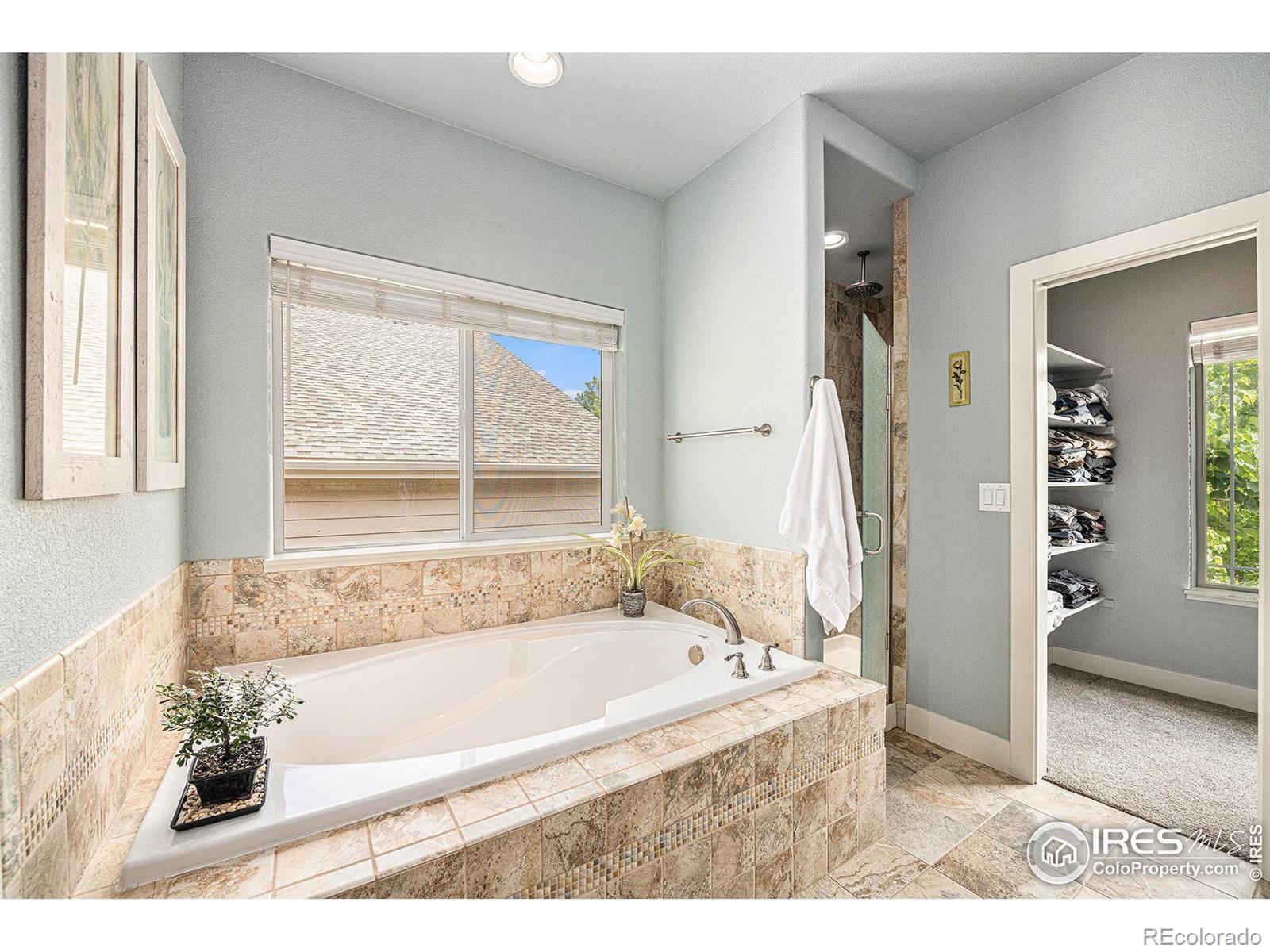MLS Image #12 for 1696  dolores river drive,windsor, Colorado