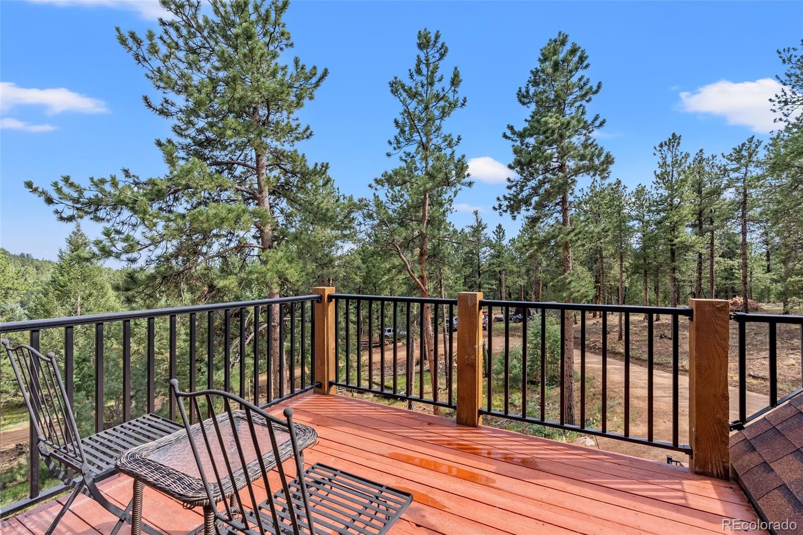 MLS Image #21 for 173  road c ,pine, Colorado