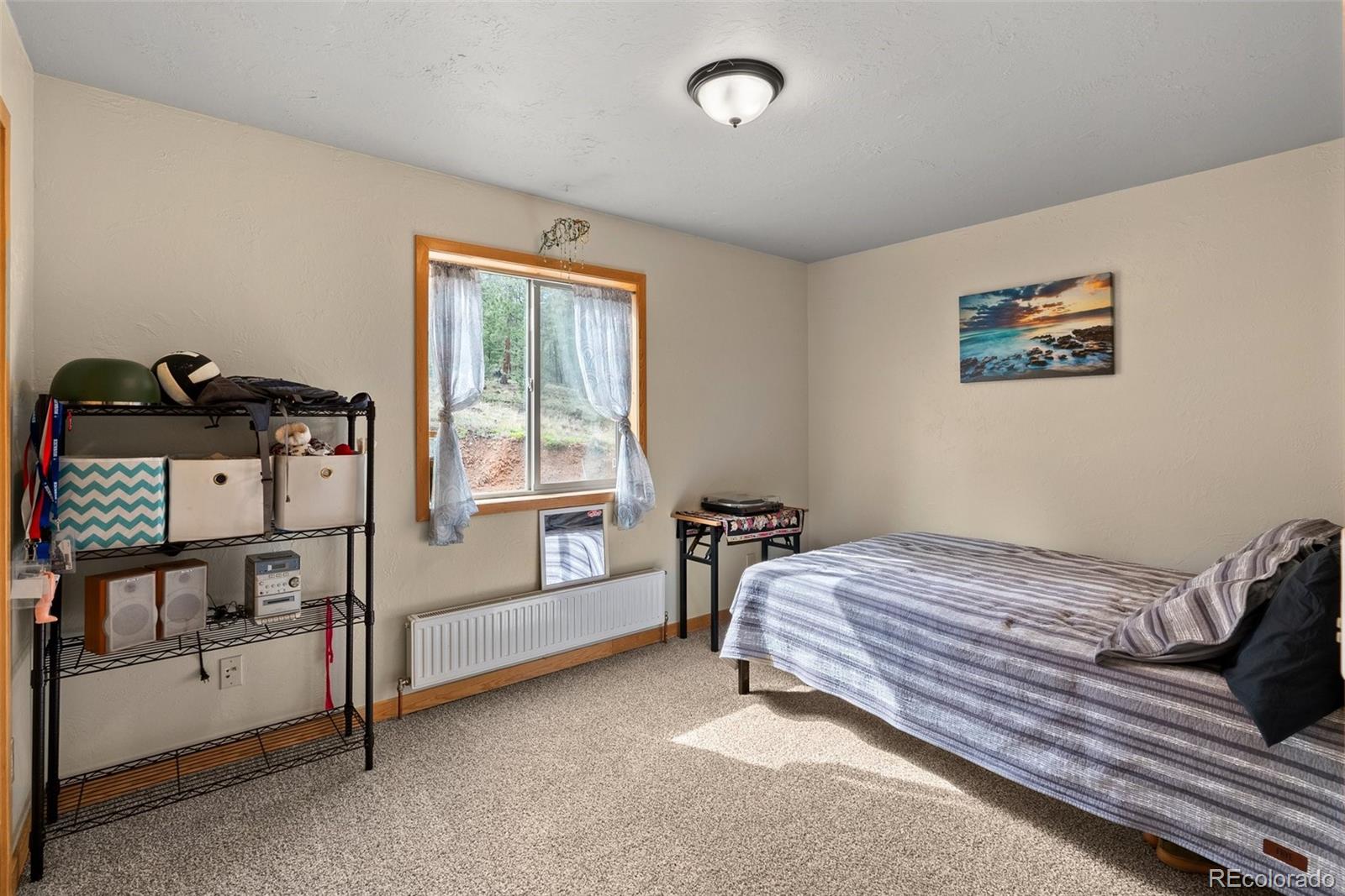 MLS Image #27 for 173  road c ,pine, Colorado