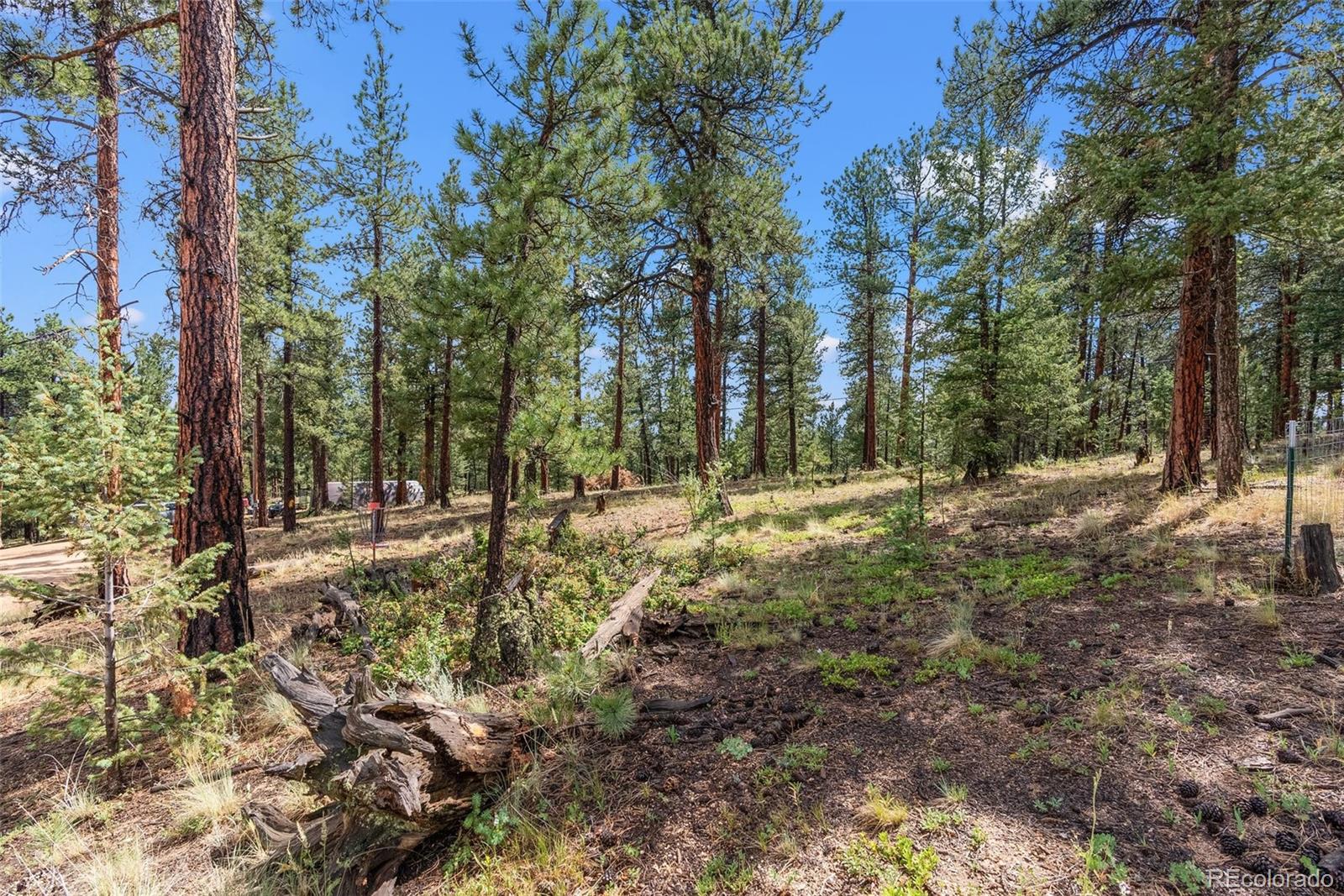 MLS Image #41 for 173  road c ,pine, Colorado