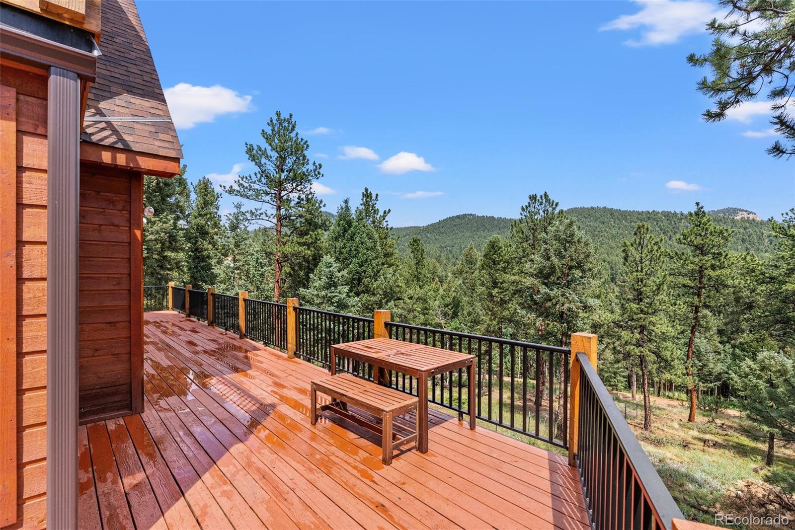 MLS Image #5 for 173  road c ,pine, Colorado