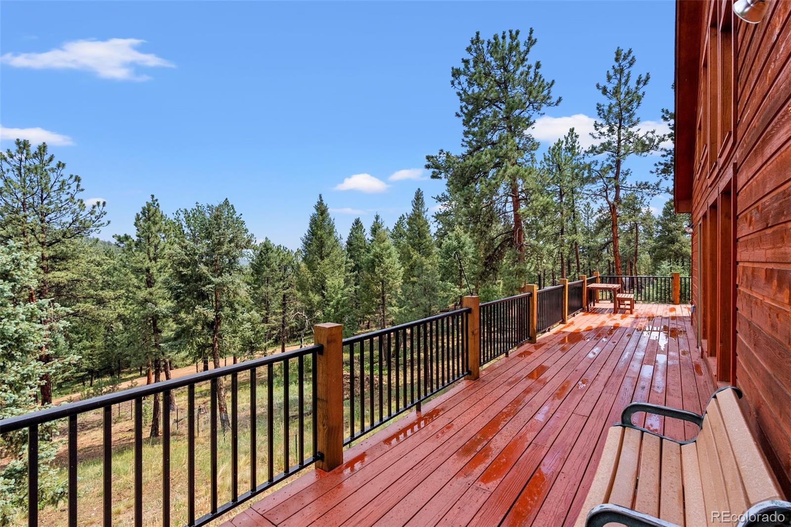 MLS Image #6 for 173  road c ,pine, Colorado