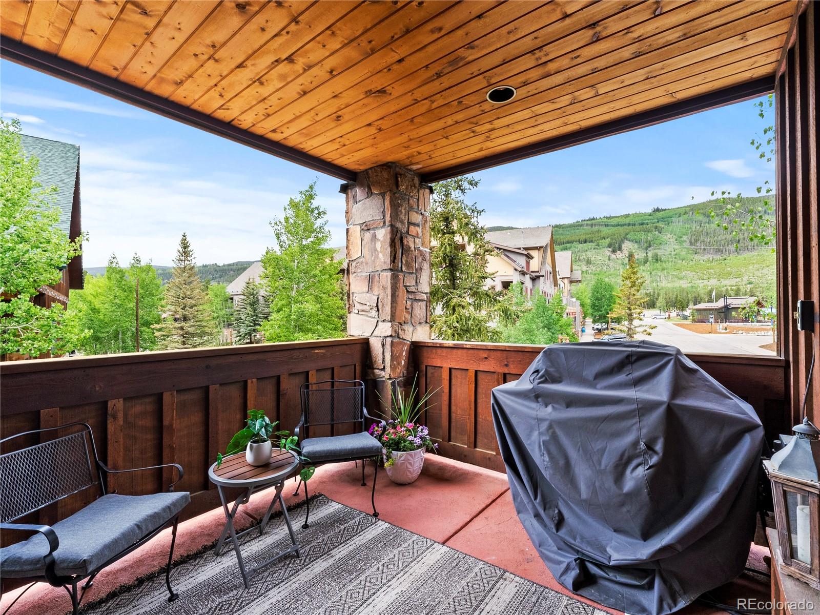 MLS Image #8 for 70  river run road,keystone, Colorado