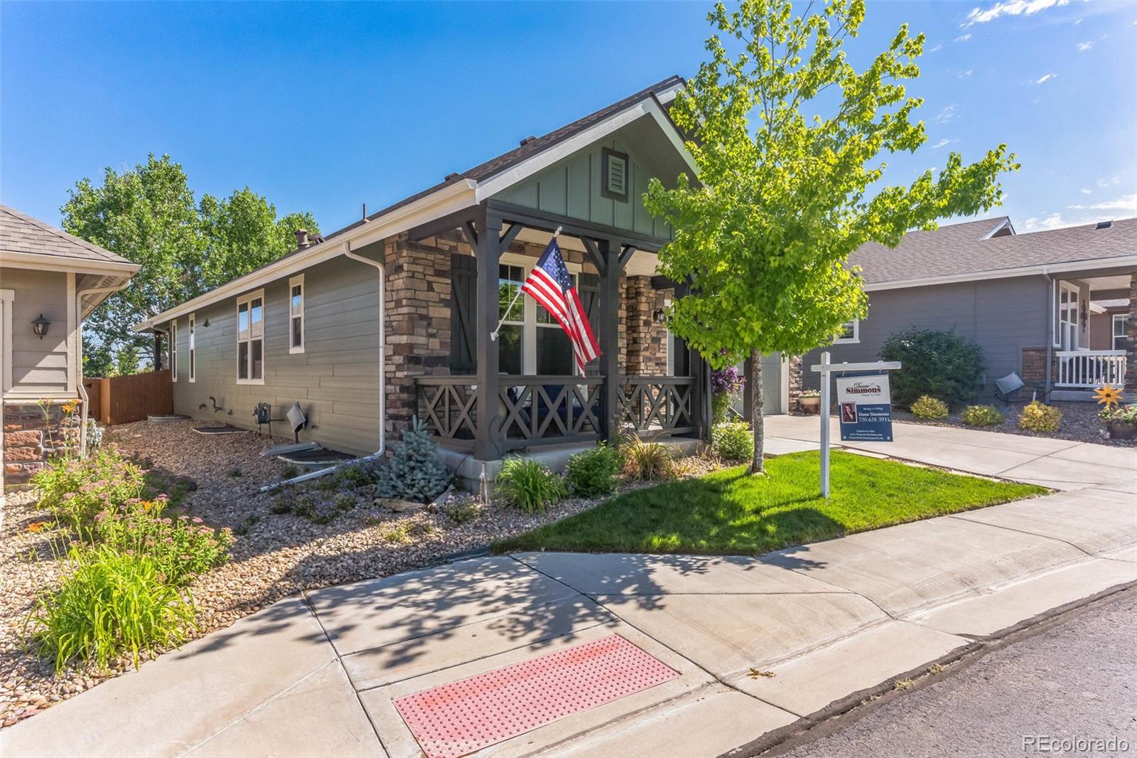 Report Image for 6639  Pinery Villa Place,Parker, Colorado