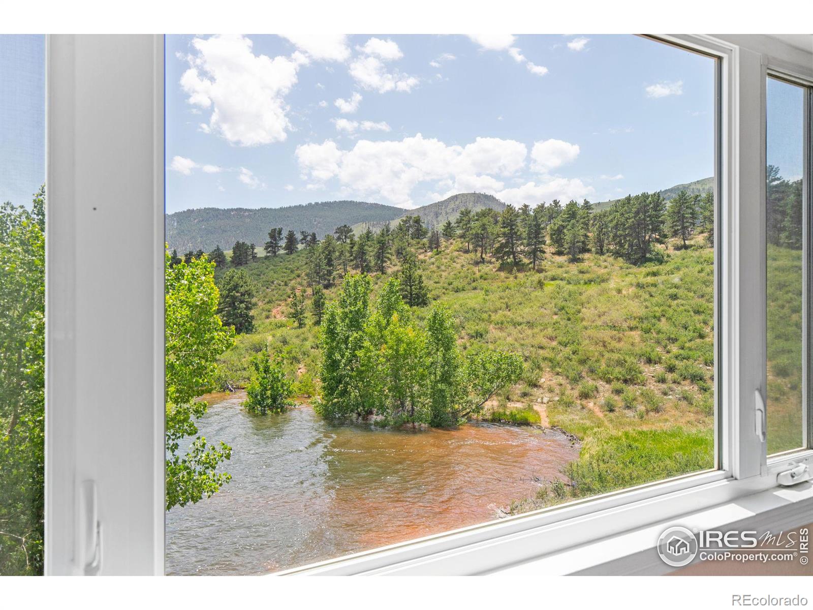 MLS Image #19 for 1004  santanka trail,bellvue, Colorado