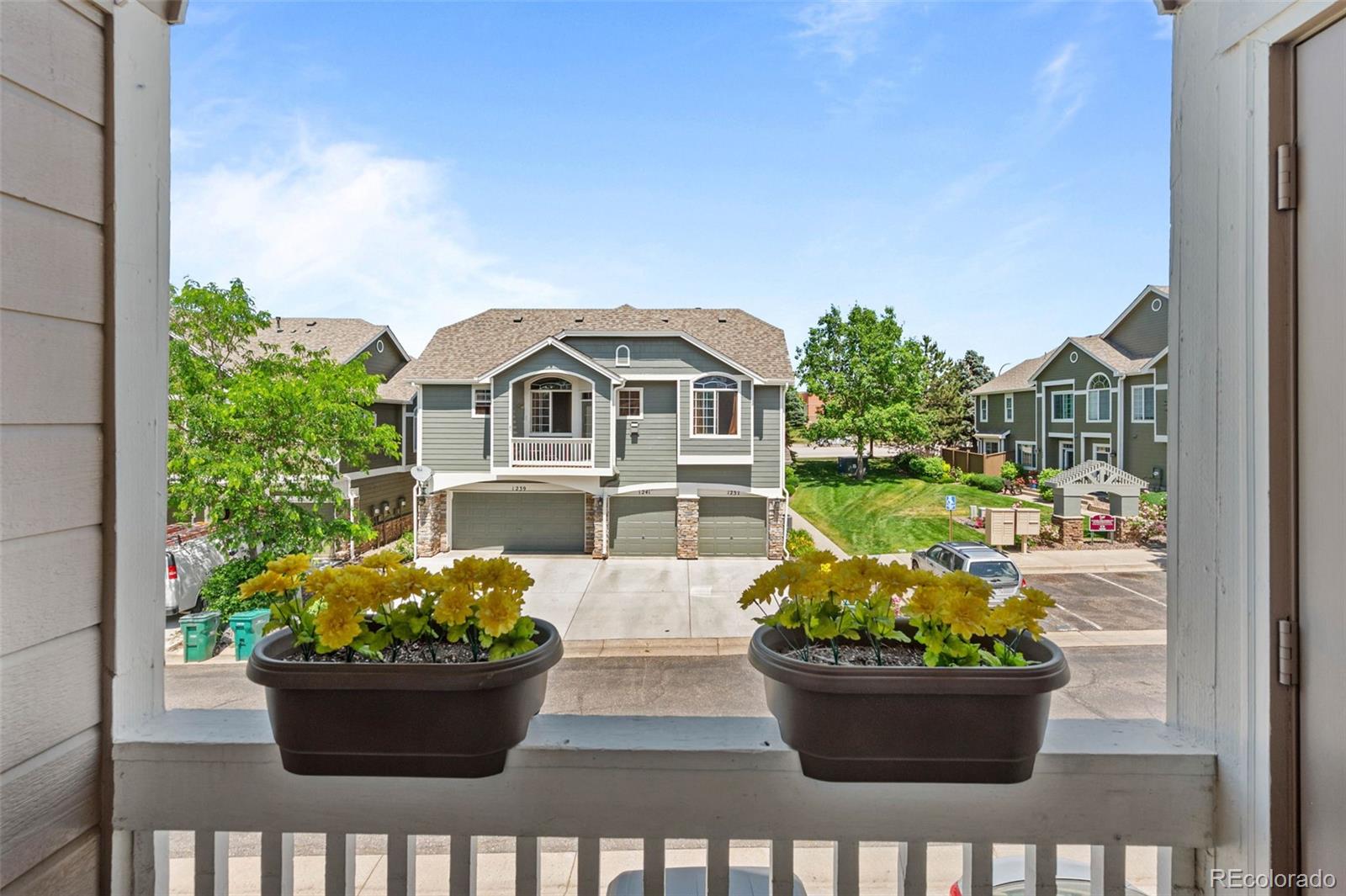 MLS Image #19 for 1232  carlyle park circle,highlands ranch, Colorado