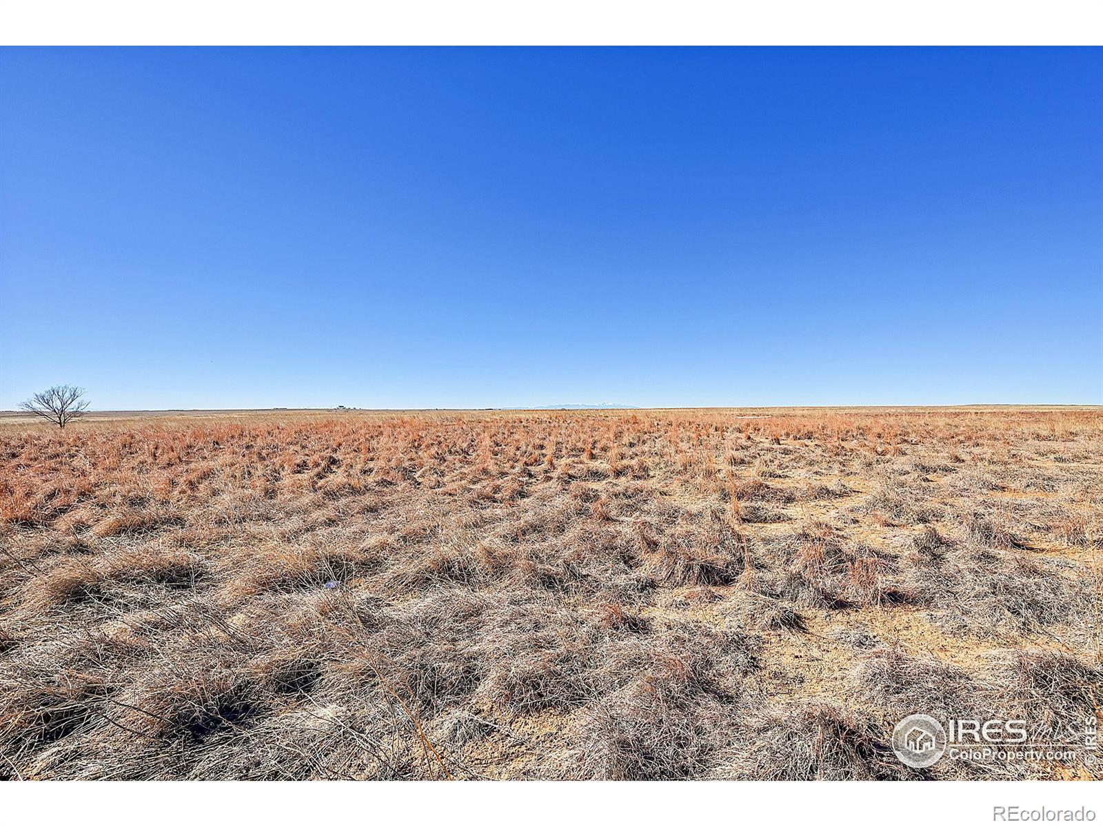 MLS Image #18 for 17251  county road 2 ,rush, Colorado