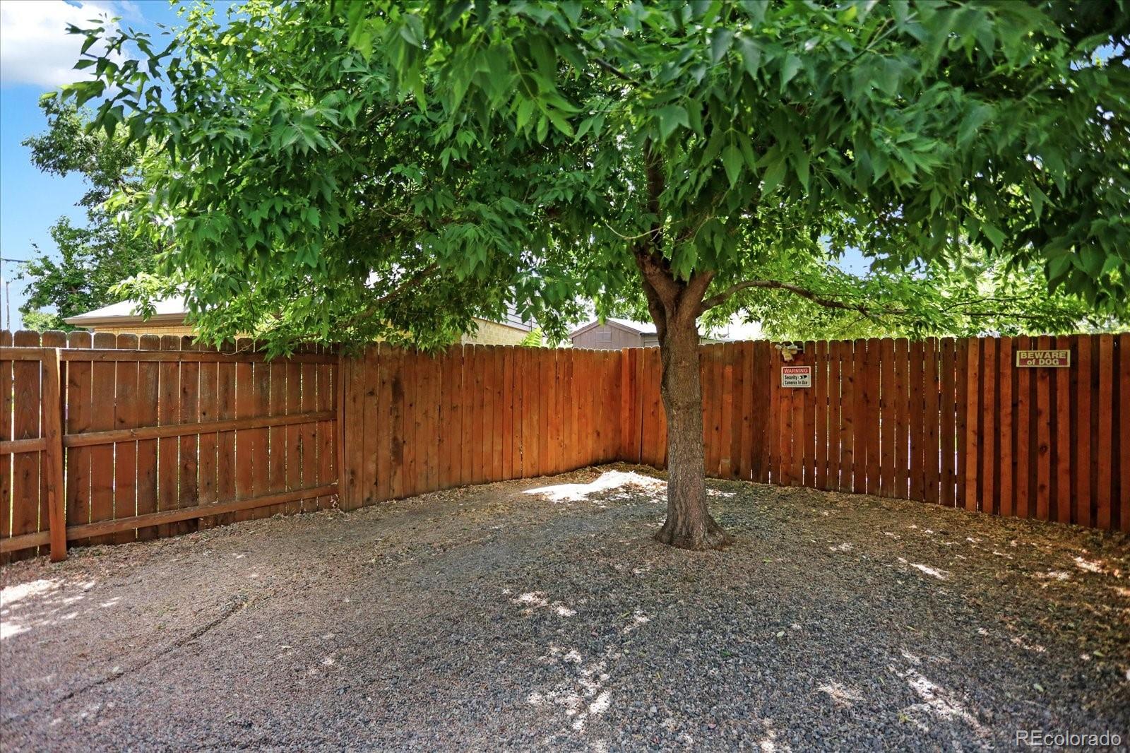 MLS Image #36 for 1660  roslyn street,denver, Colorado