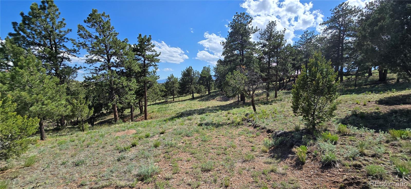 MLS Image #39 for 528  choctaw trail,westcliffe, Colorado