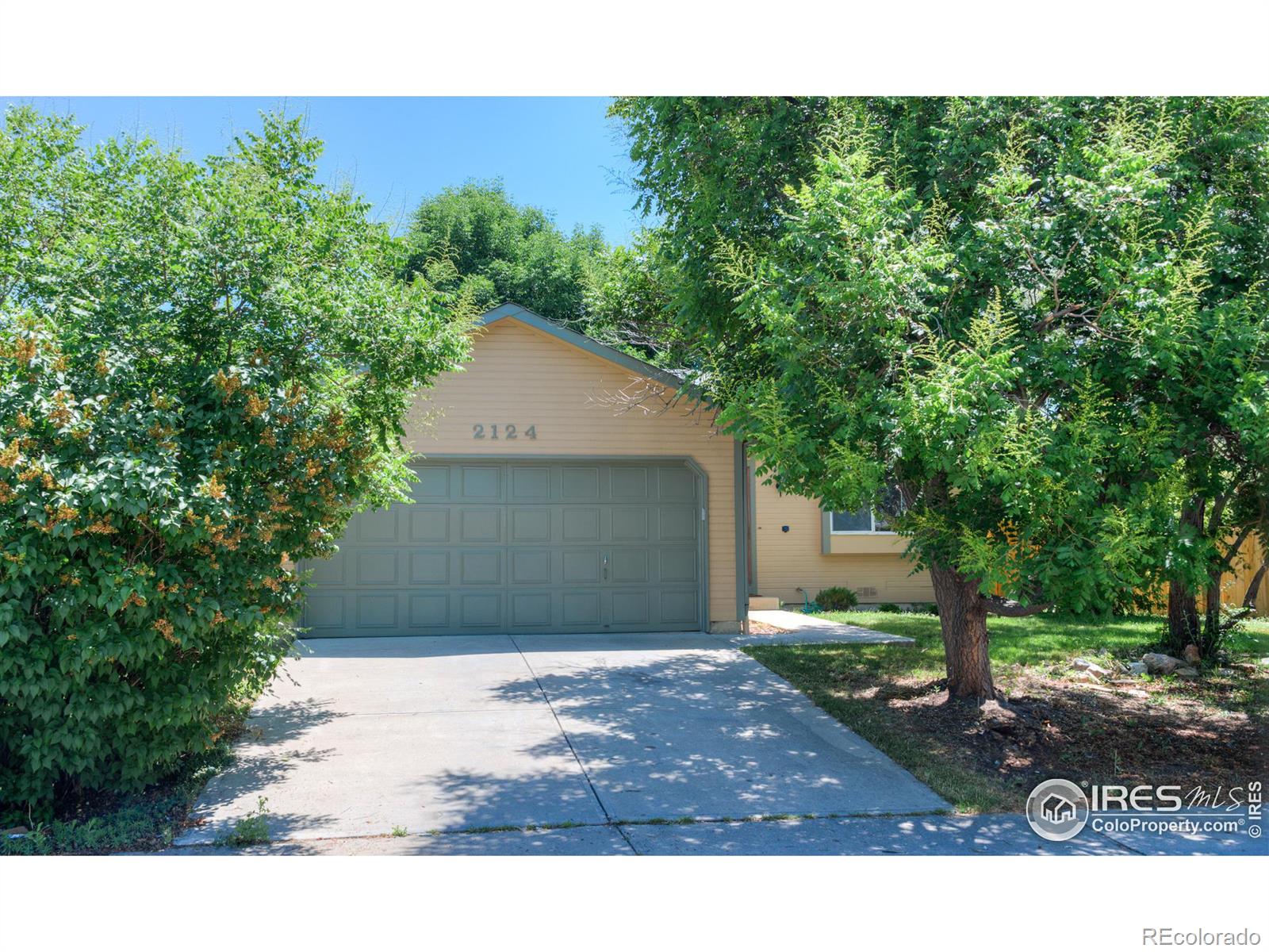 CMA Image for 1736  tulip street,Longmont, Colorado