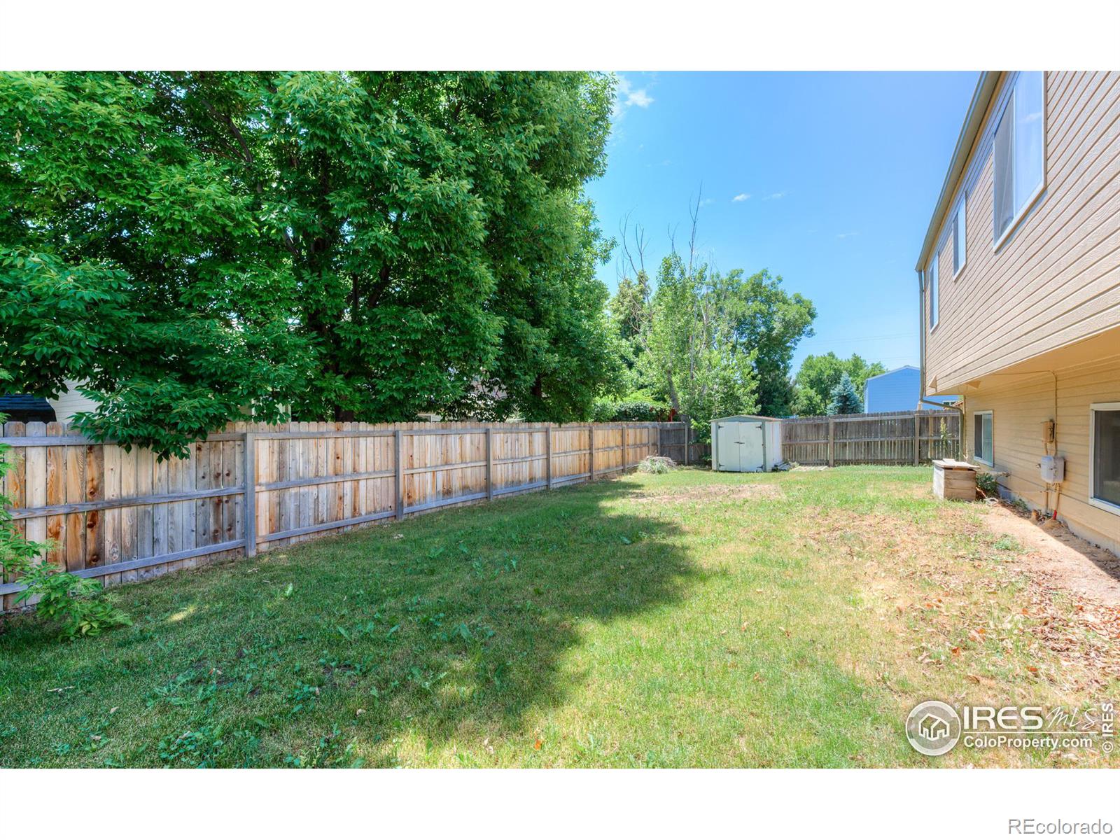 MLS Image #10 for 2124  steele street,longmont, Colorado