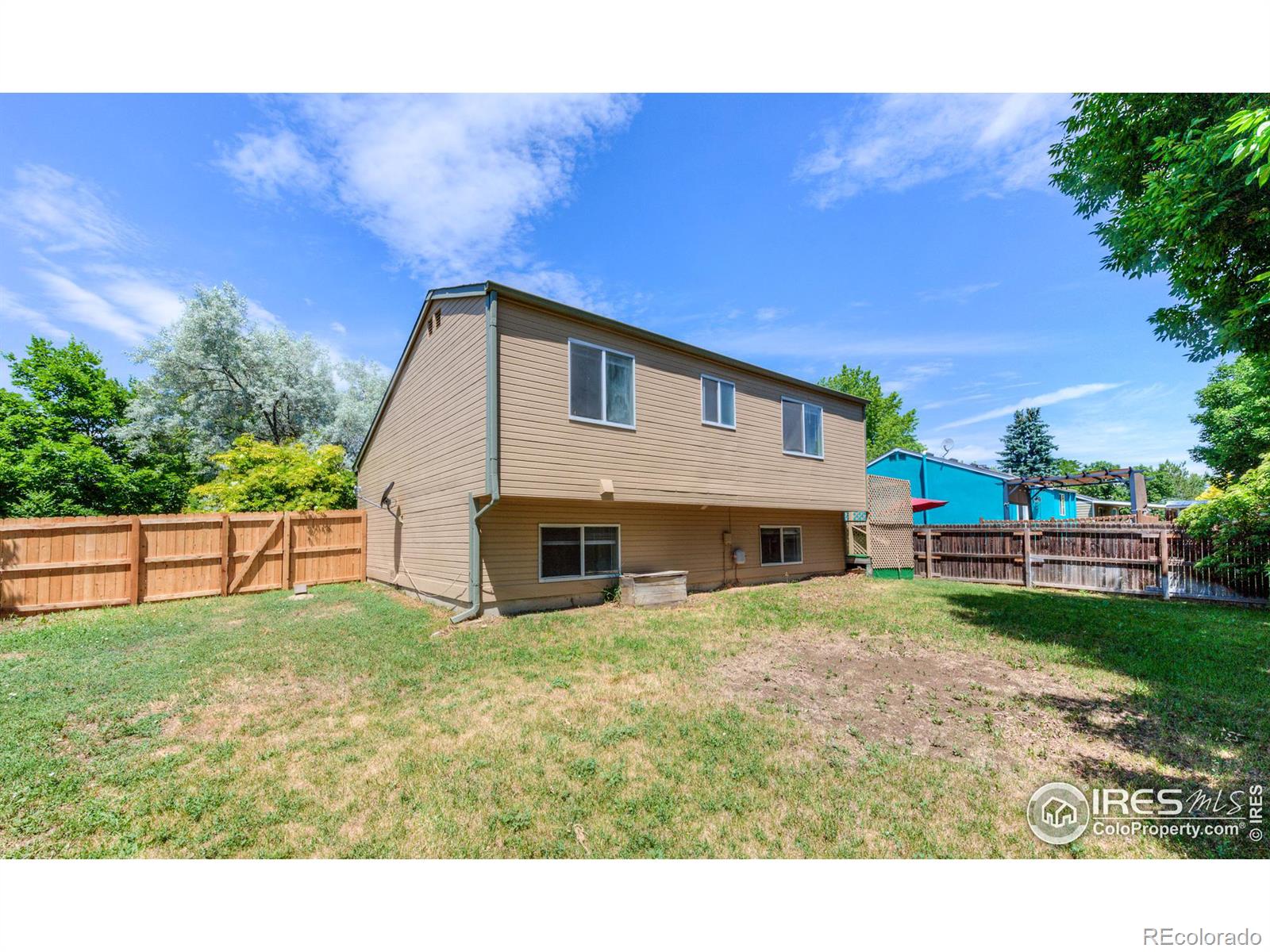 MLS Image #12 for 2124  steele street,longmont, Colorado