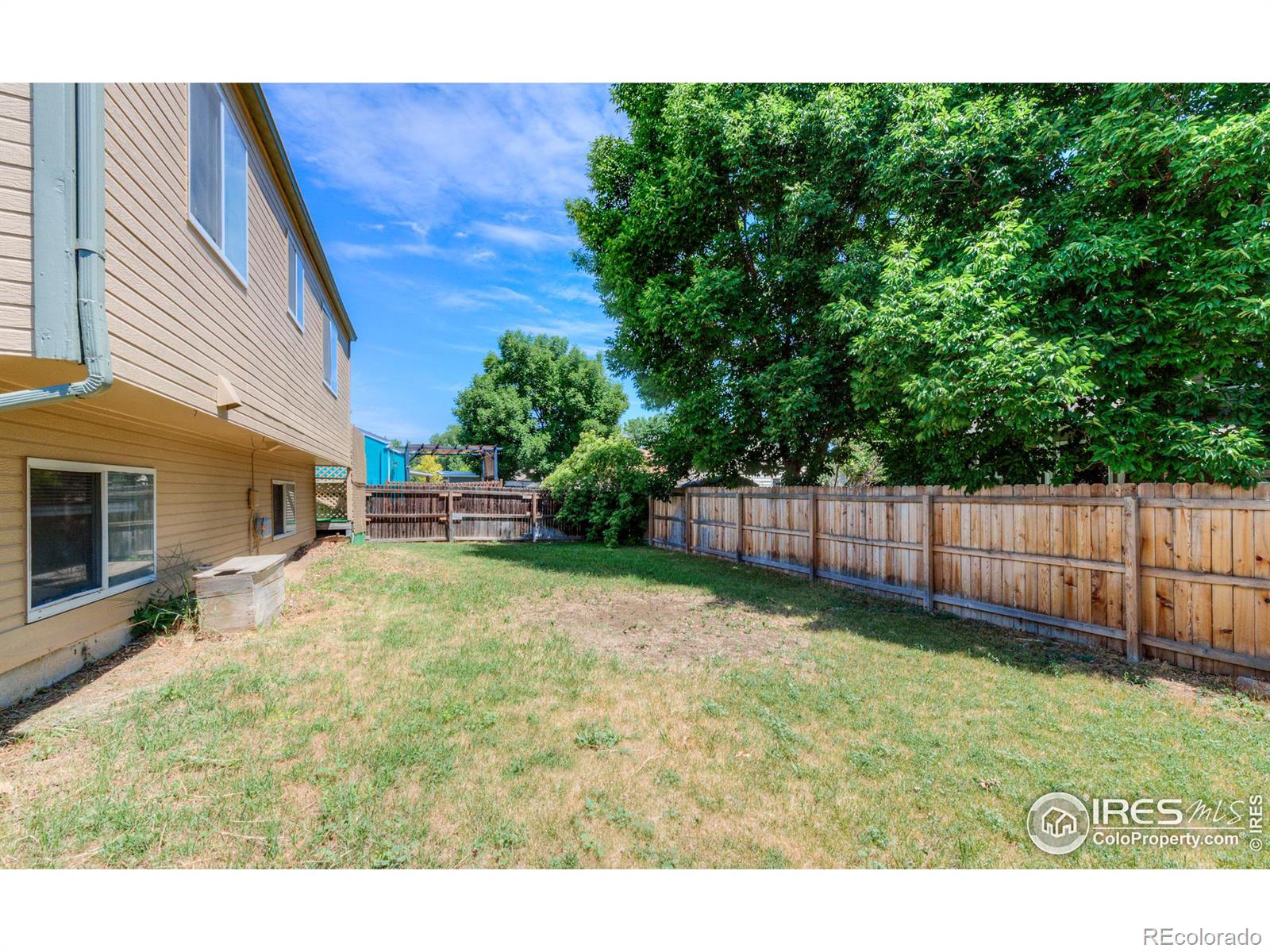 MLS Image #13 for 2124  steele street,longmont, Colorado