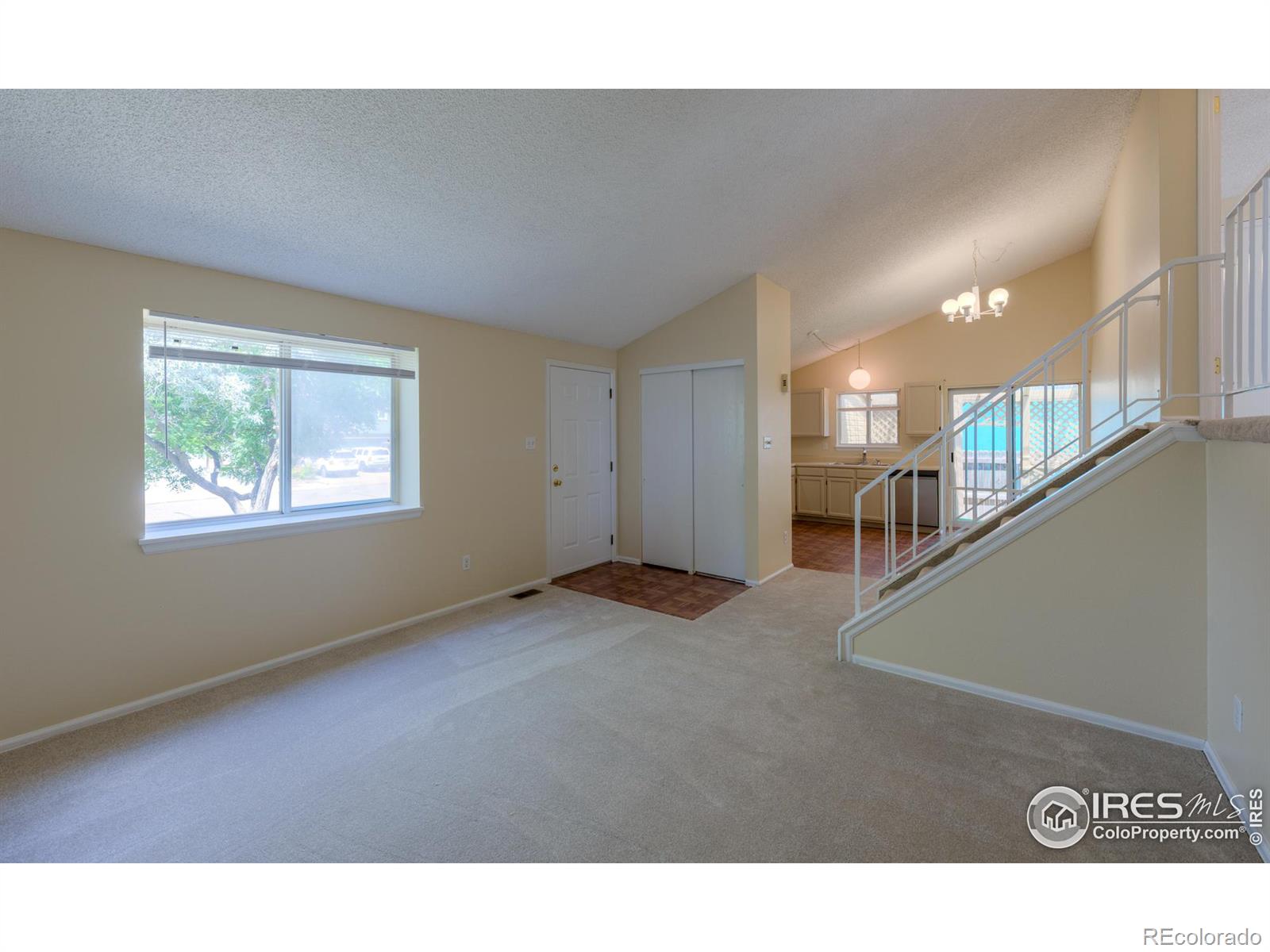 MLS Image #5 for 2124  steele street,longmont, Colorado