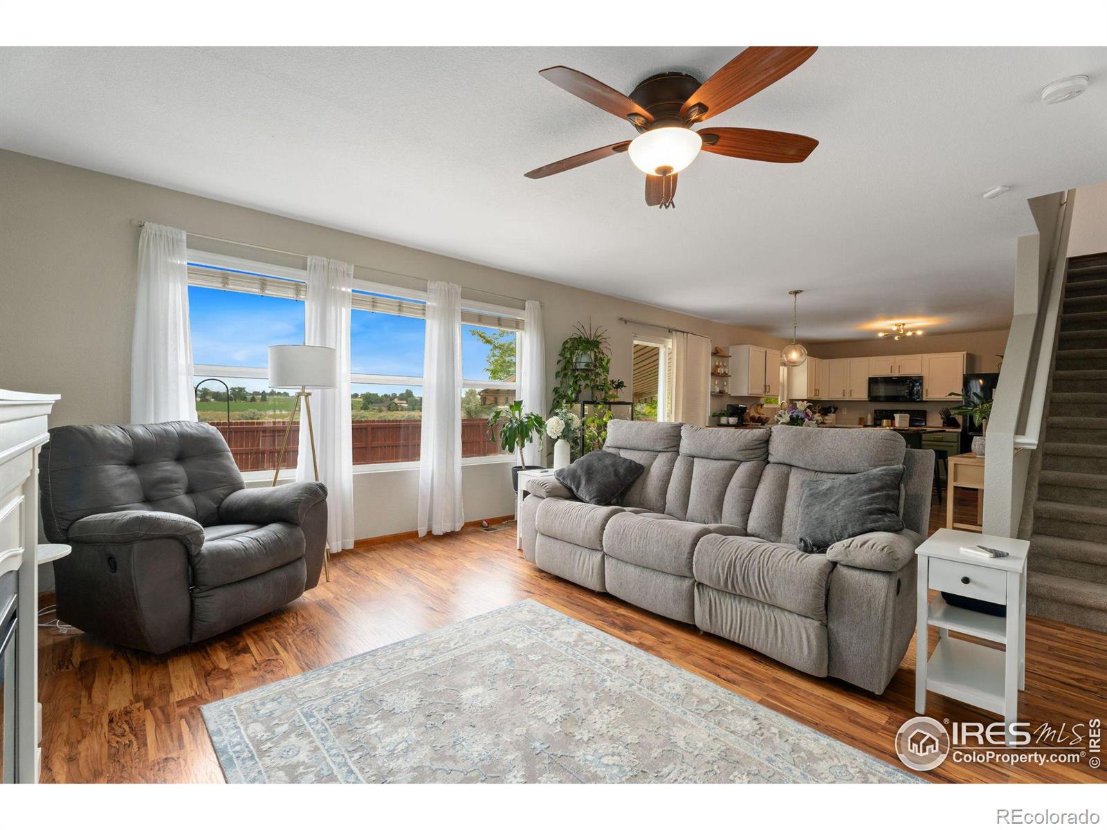 MLS Image #11 for 13661  wrangler way,mead, Colorado