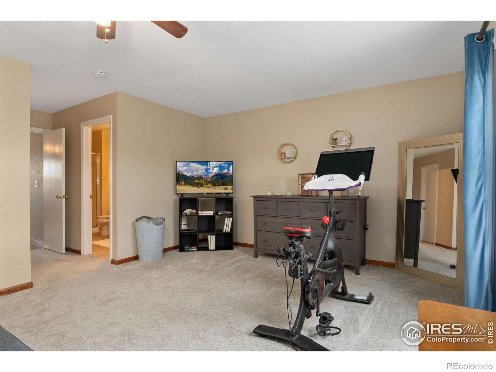 MLS Image #19 for 13661  wrangler way,mead, Colorado