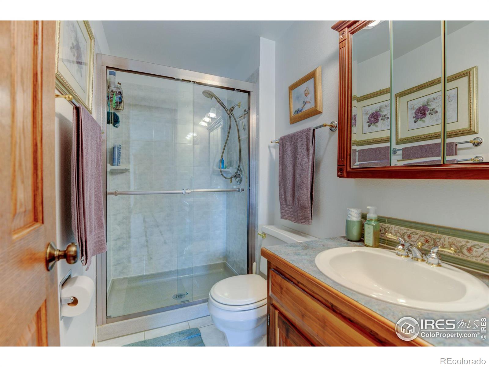 MLS Image #18 for 2706  granada drive,loveland, Colorado