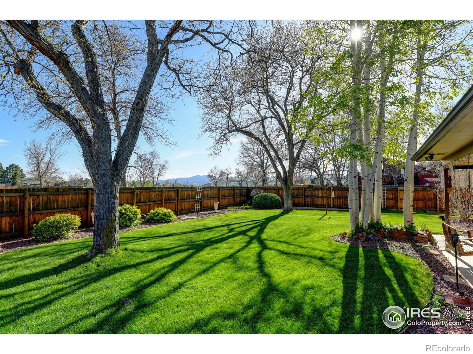 MLS Image #30 for 2706  granada drive,loveland, Colorado