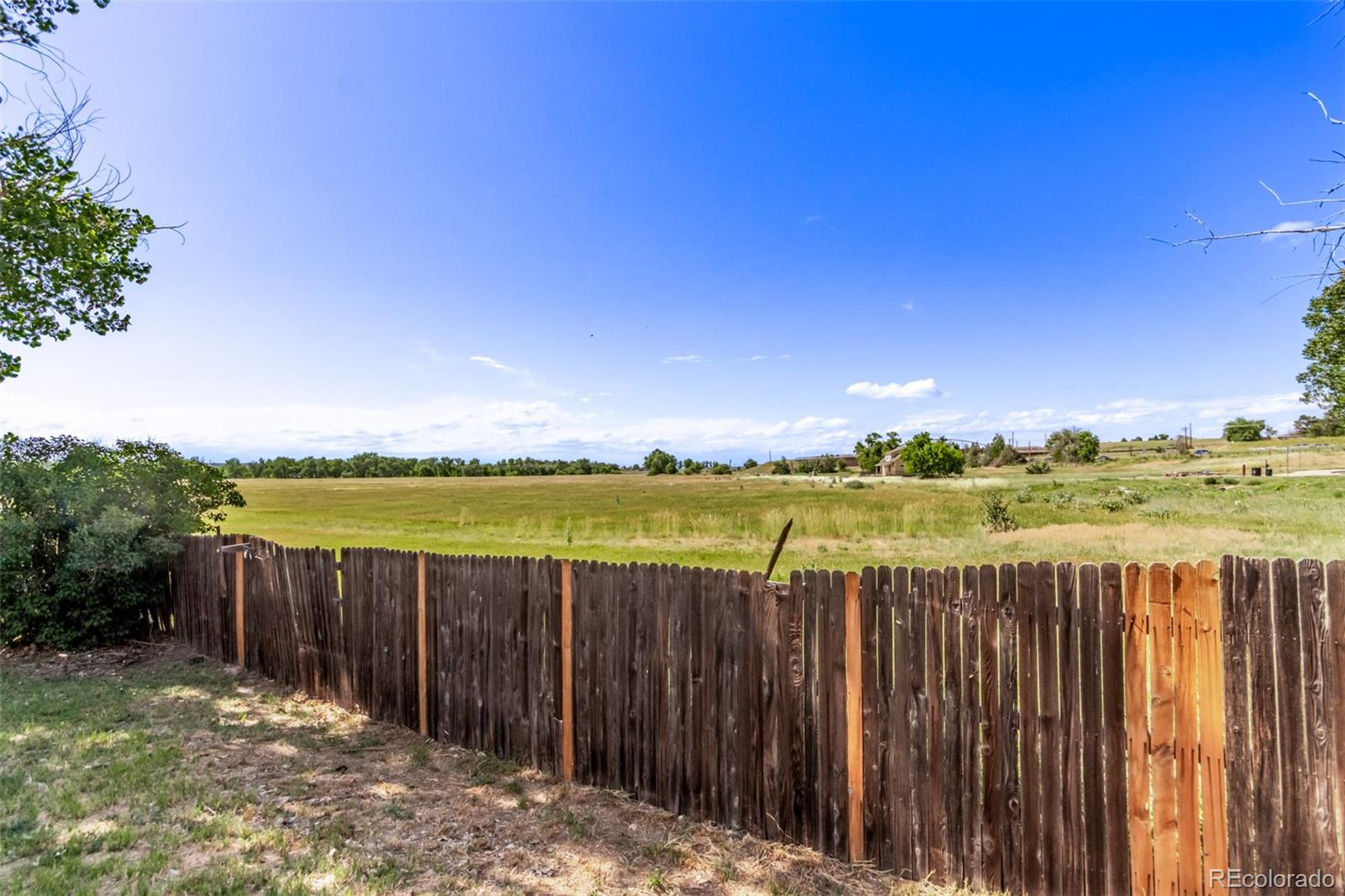 MLS Image #35 for 17672  snowberry way,parker, Colorado