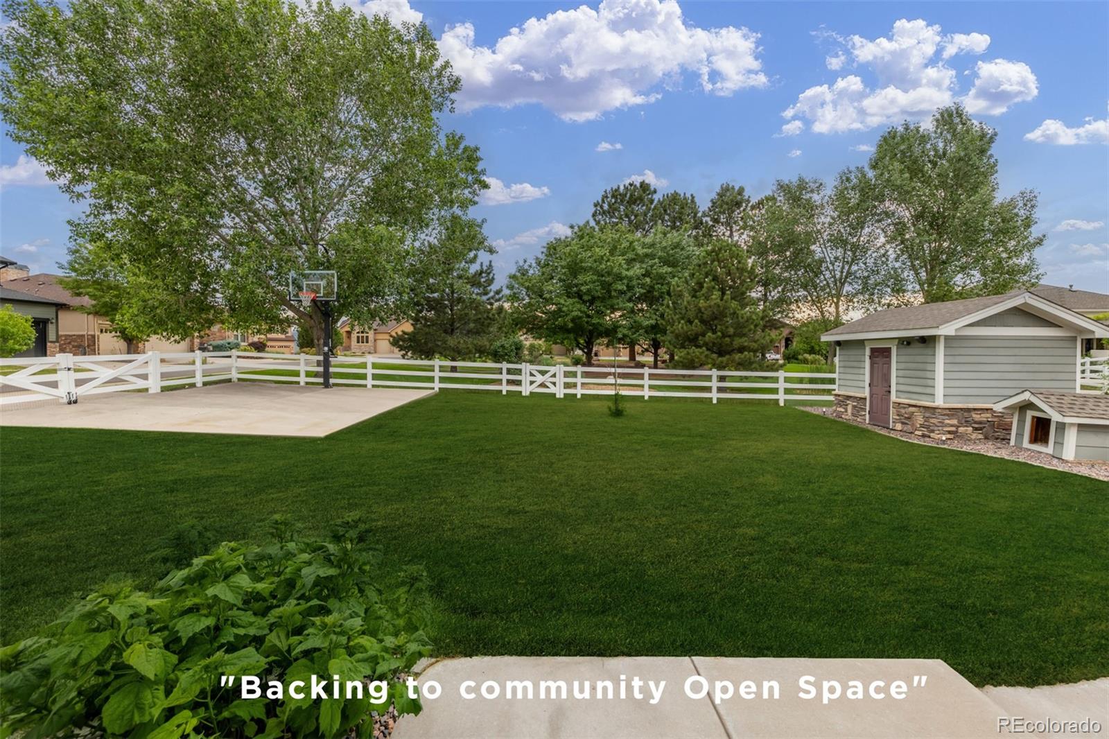 MLS Image #40 for 8139  vivian street,arvada, Colorado