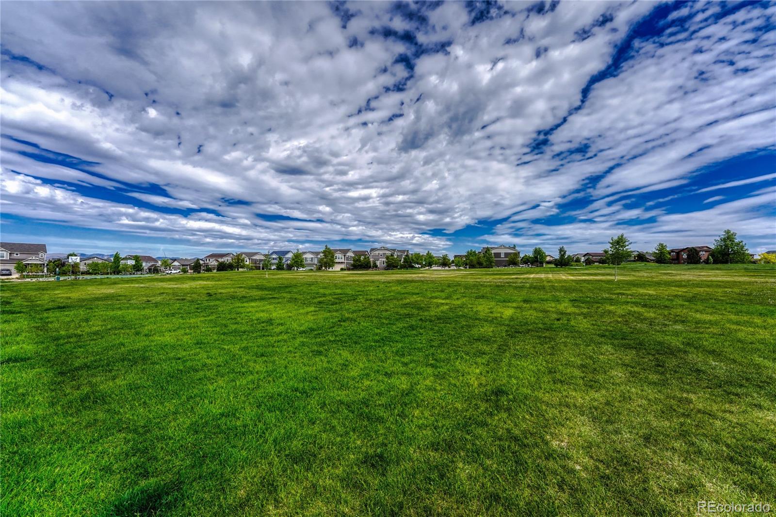 MLS Image #43 for 8343  colorado spruce lane,colorado springs, Colorado