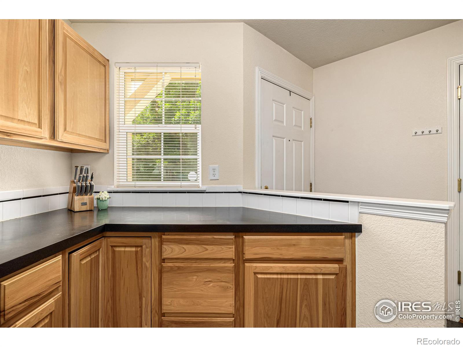 MLS Image #10 for 1015  andrews peak drive,fort collins, Colorado