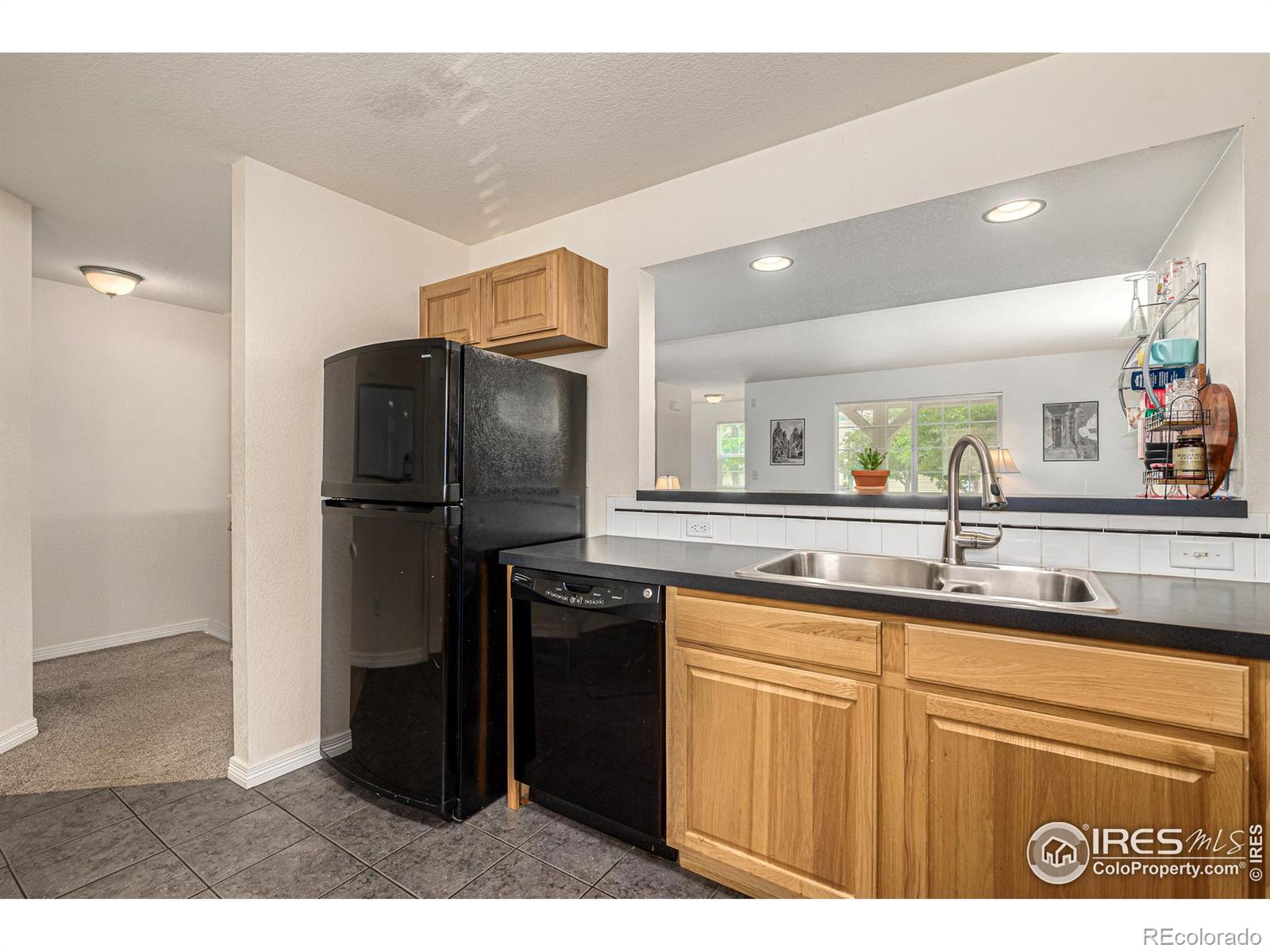 MLS Image #12 for 1015  andrews peak drive,fort collins, Colorado