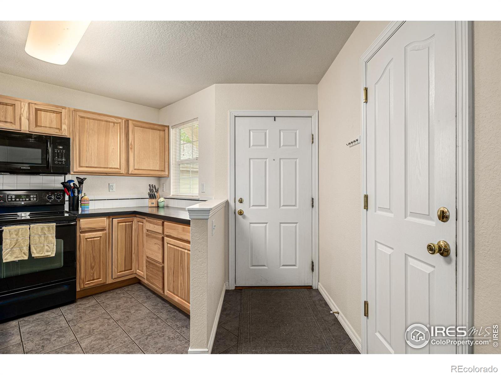 MLS Image #13 for 1015  andrews peak drive,fort collins, Colorado