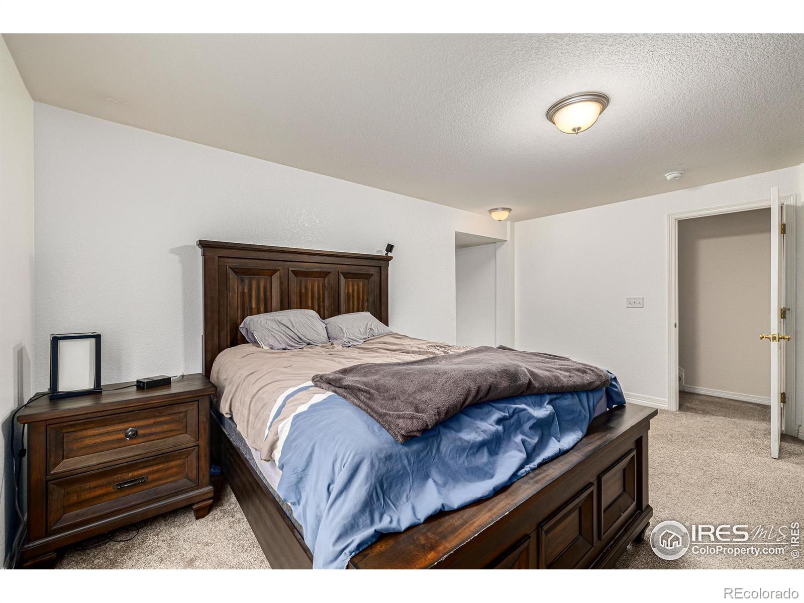 MLS Image #21 for 1015  andrews peak drive,fort collins, Colorado