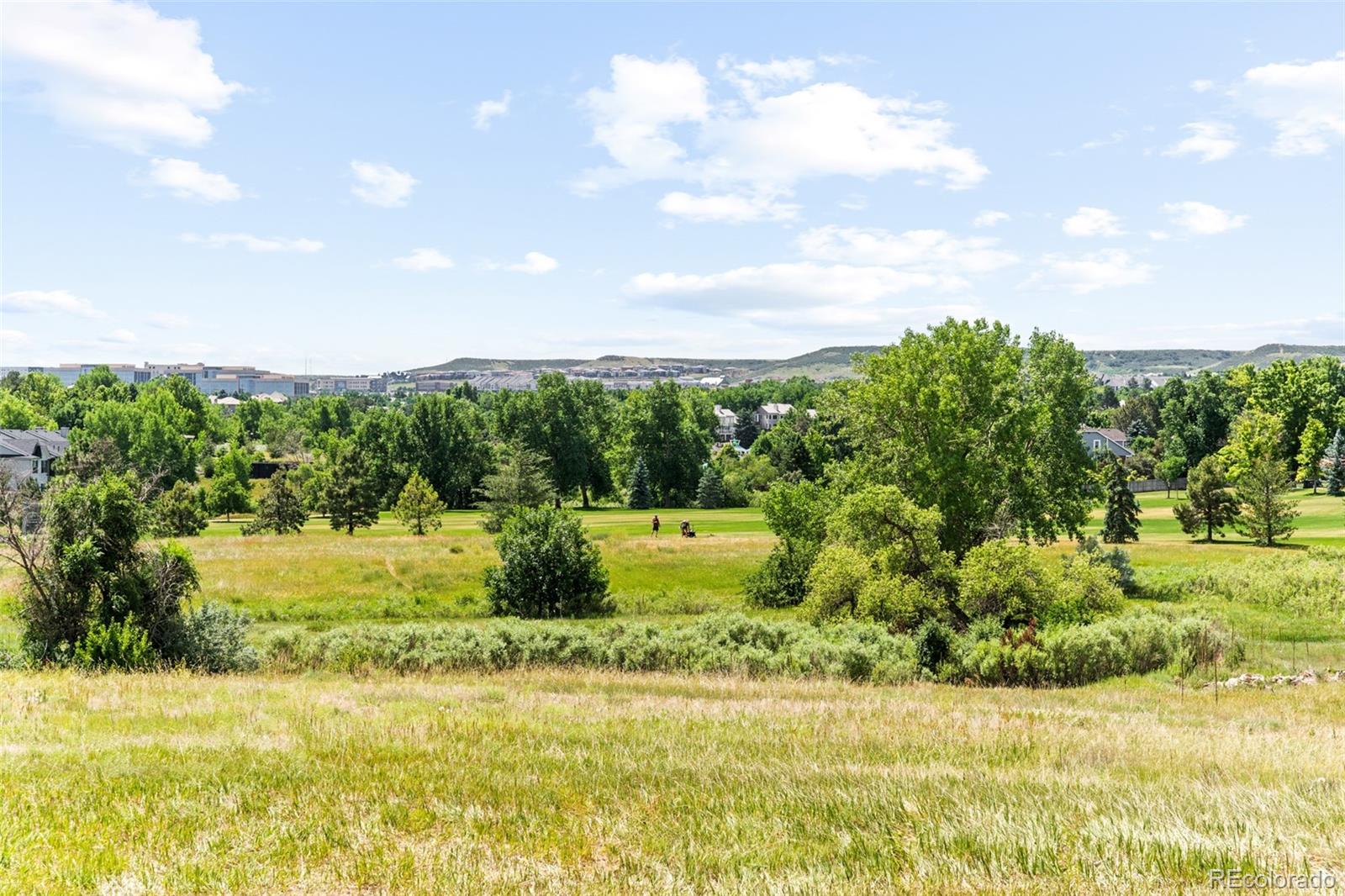 MLS Image #26 for 13222  mercury drive,lone tree, Colorado