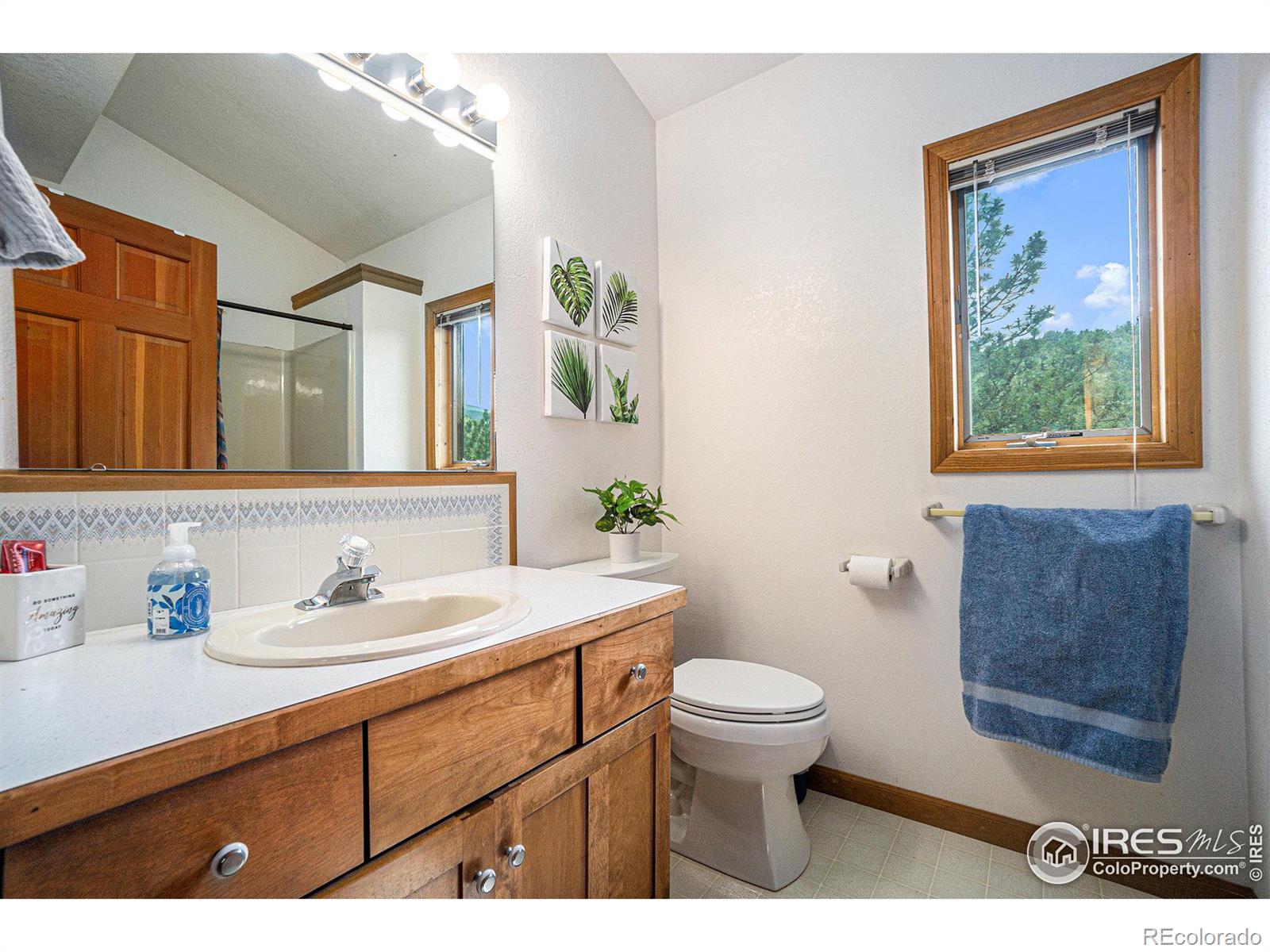 MLS Image #8 for 165  elkridge drive,glen haven, Colorado