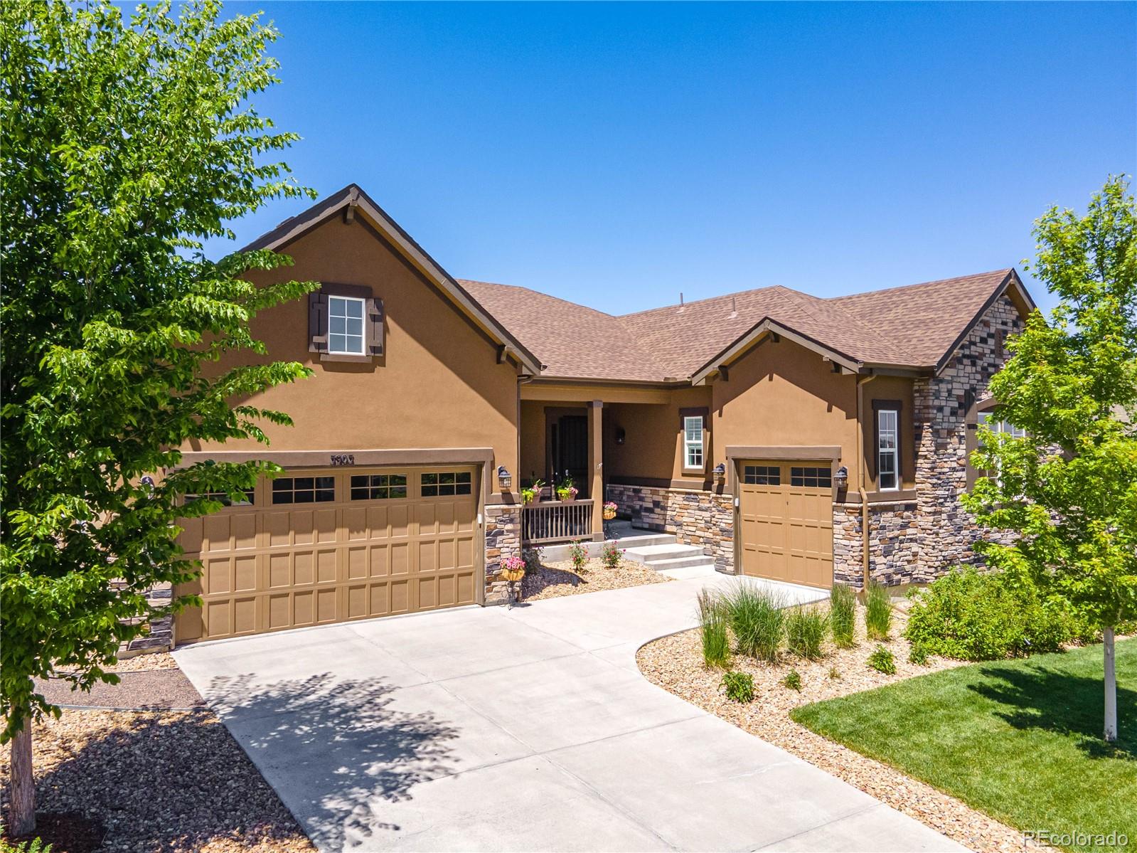 MLS Image #4 for 3903  old oaks street,castle rock, Colorado