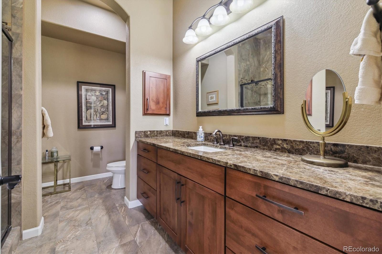 MLS Image #22 for 2262  primo road,highlands ranch, Colorado