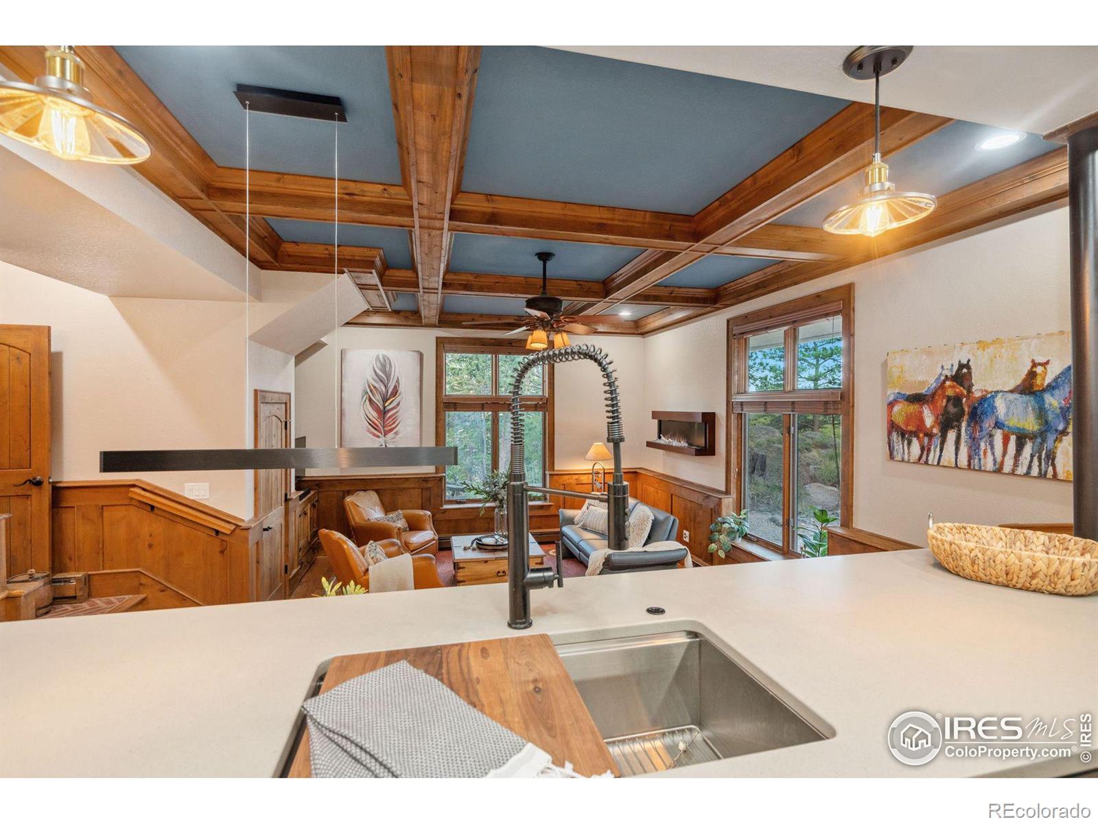 MLS Image #13 for 788  fox acres drive,red feather lakes, Colorado