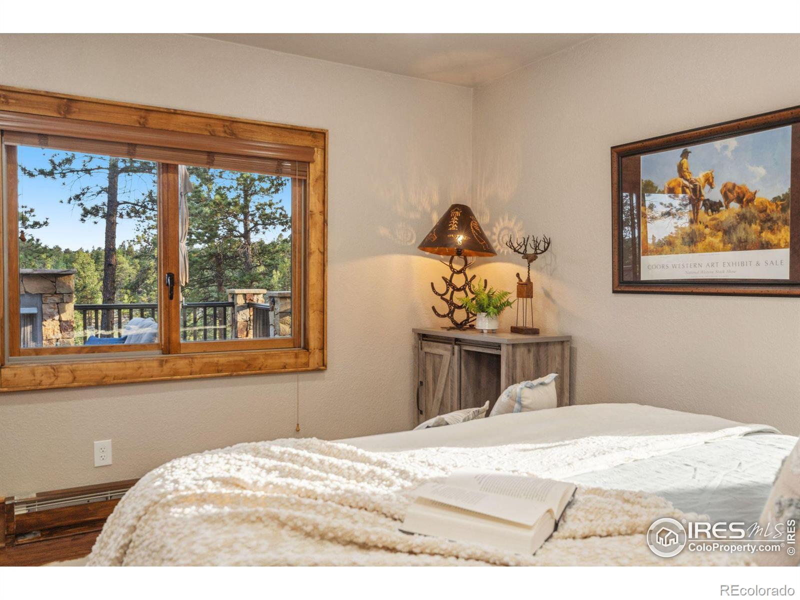 MLS Image #15 for 788  fox acres drive,red feather lakes, Colorado