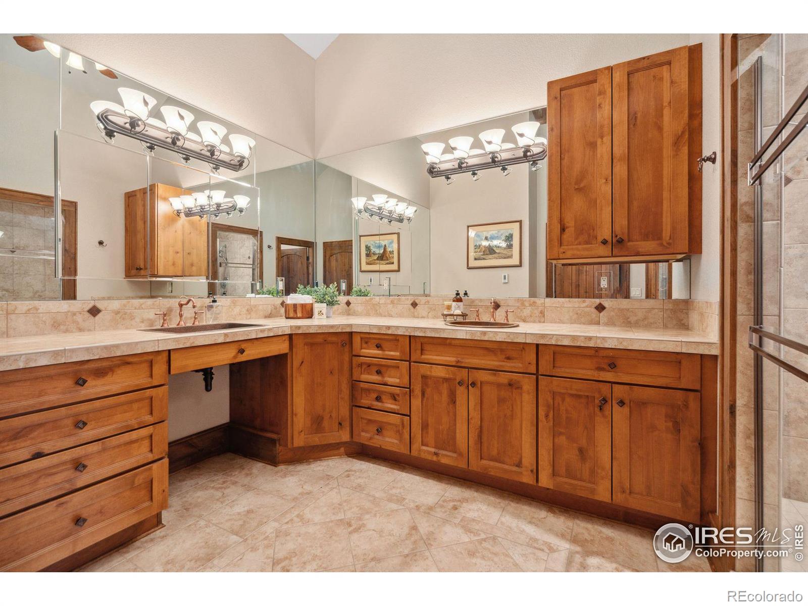 MLS Image #21 for 788  fox acres drive,red feather lakes, Colorado