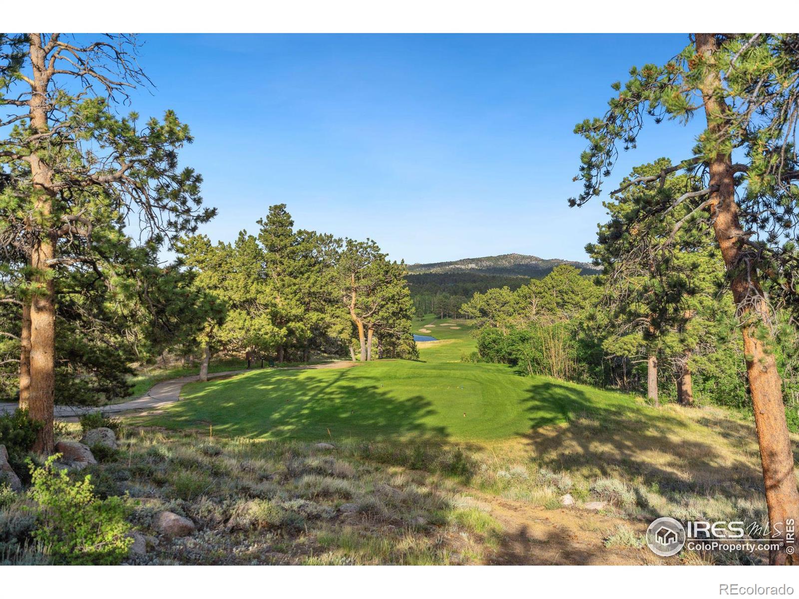 MLS Image #28 for 788  fox acres drive,red feather lakes, Colorado