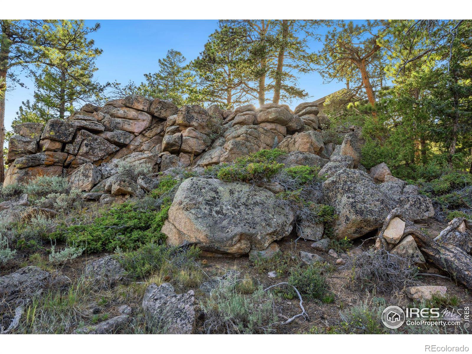 MLS Image #29 for 788  fox acres drive,red feather lakes, Colorado