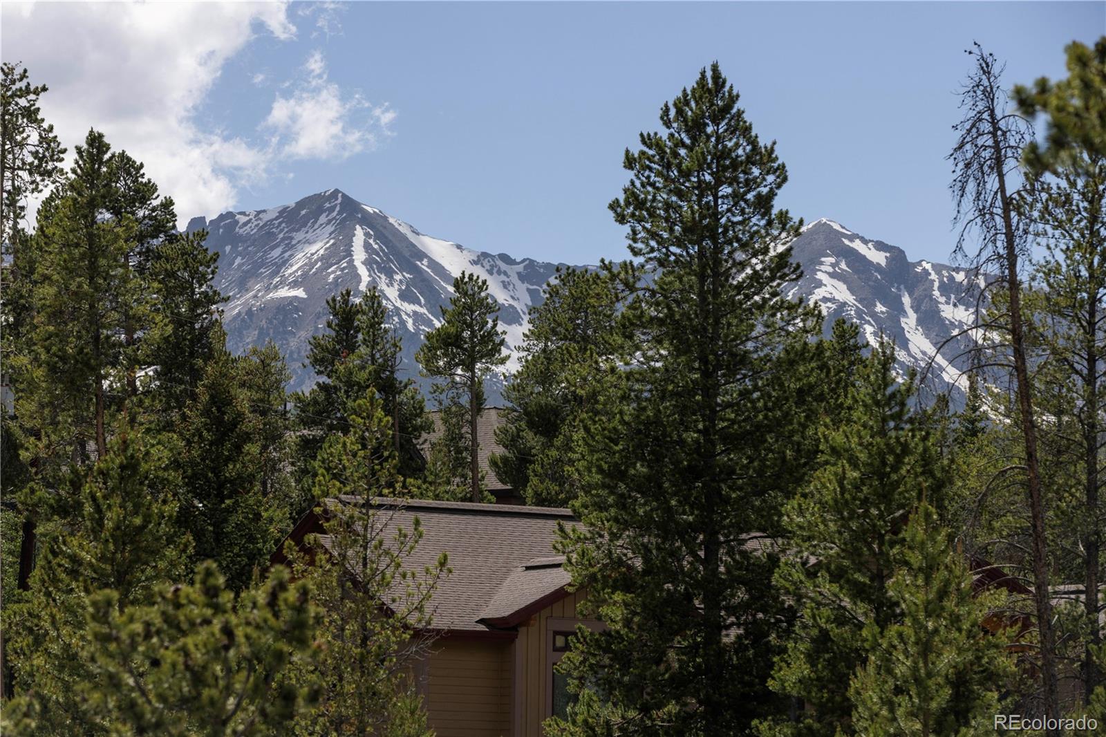 MLS Image #9 for 140  braddock drive,breckenridge, Colorado