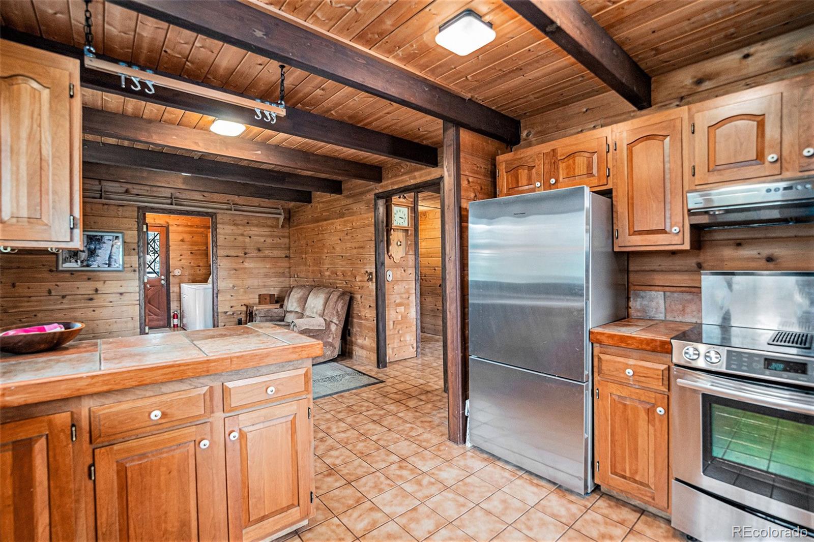 MLS Image #10 for 226  ronnie road,golden, Colorado