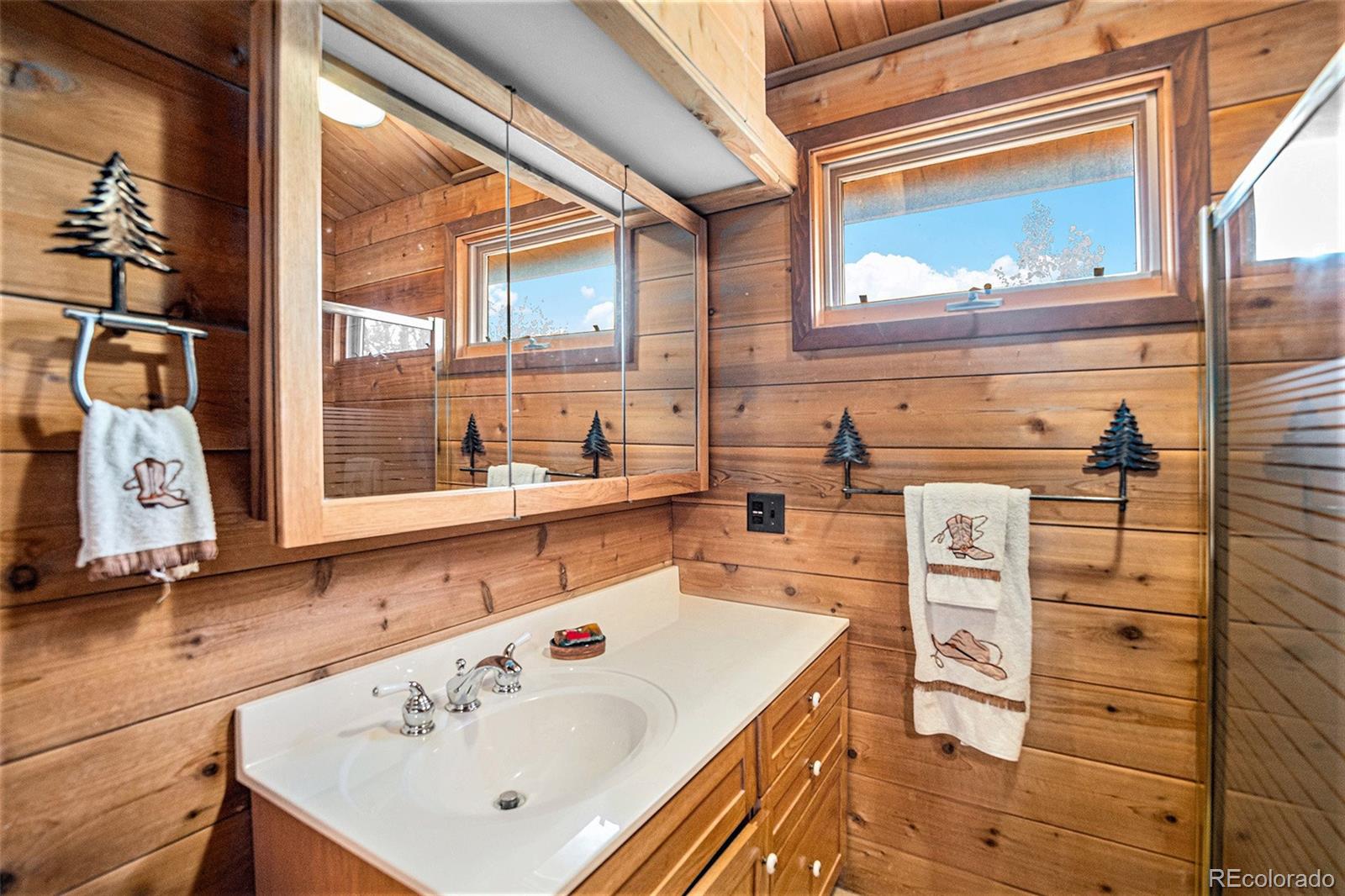 MLS Image #18 for 226  ronnie road,golden, Colorado