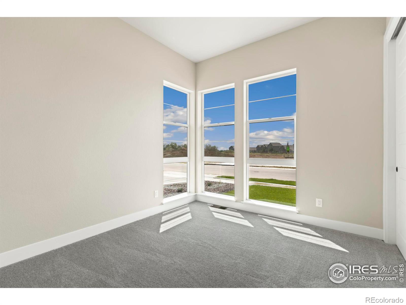 MLS Image #8 for 1340  alyssa drive,timnath, Colorado