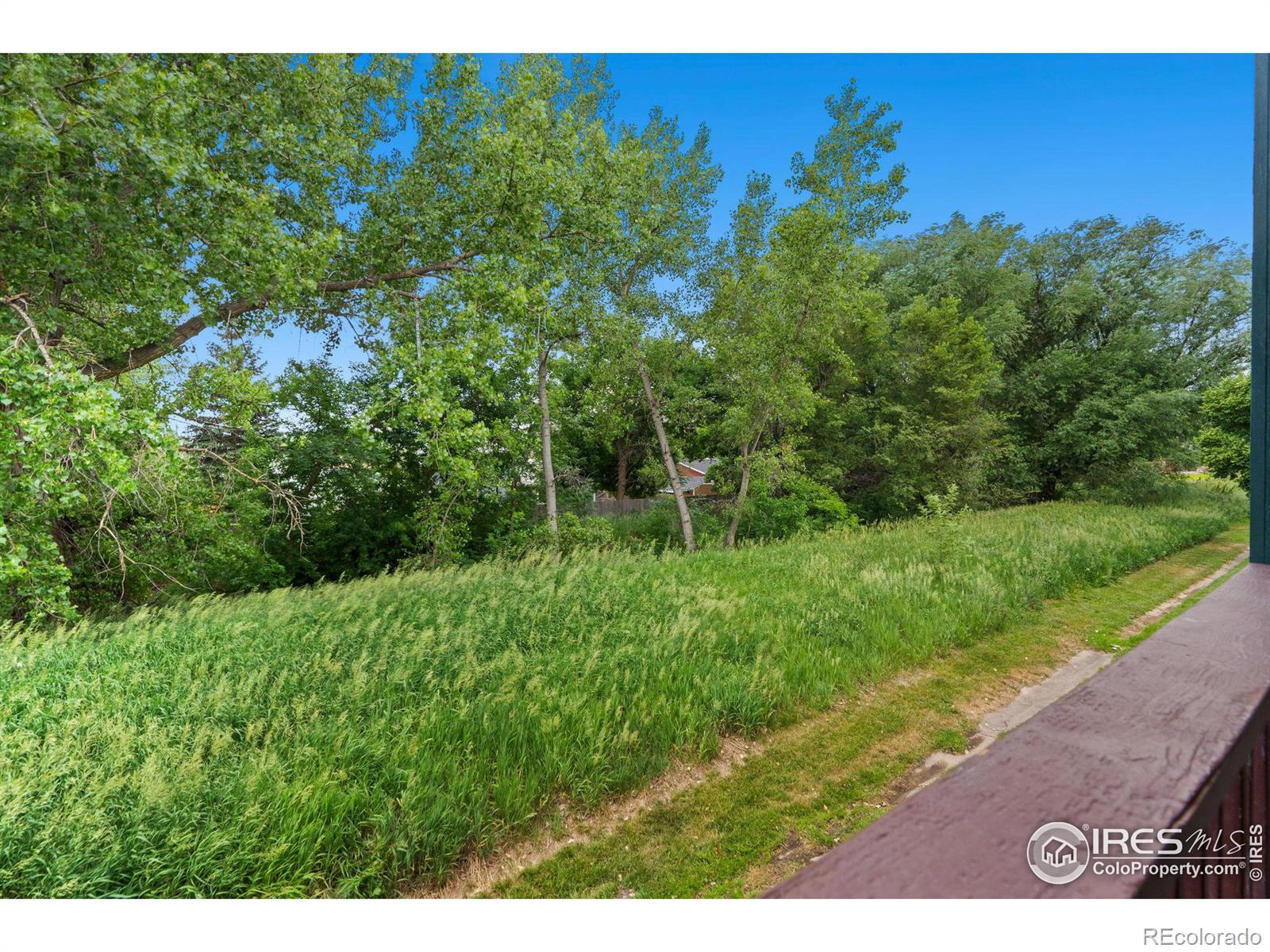 MLS Image #30 for 1054  tierra lane,fort collins, Colorado